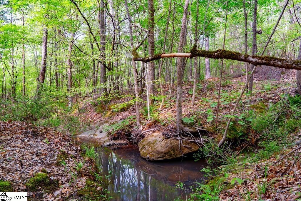 10389 Indian Mound Road Property Photo 20