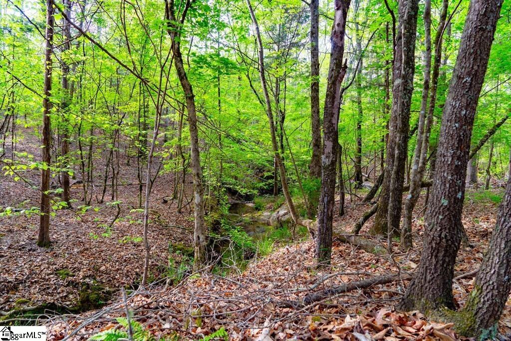 10389 Indian Mound Road Property Photo 23