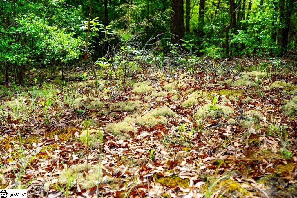 10389 Indian Mound Road Property Photo 25