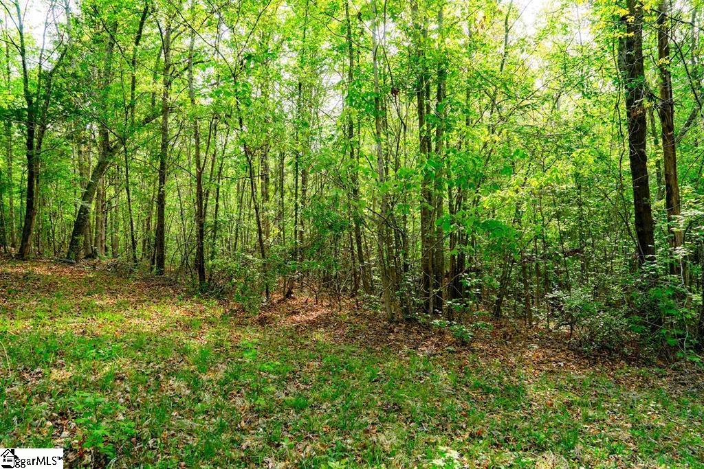 10389 Indian Mound Road Property Photo 26