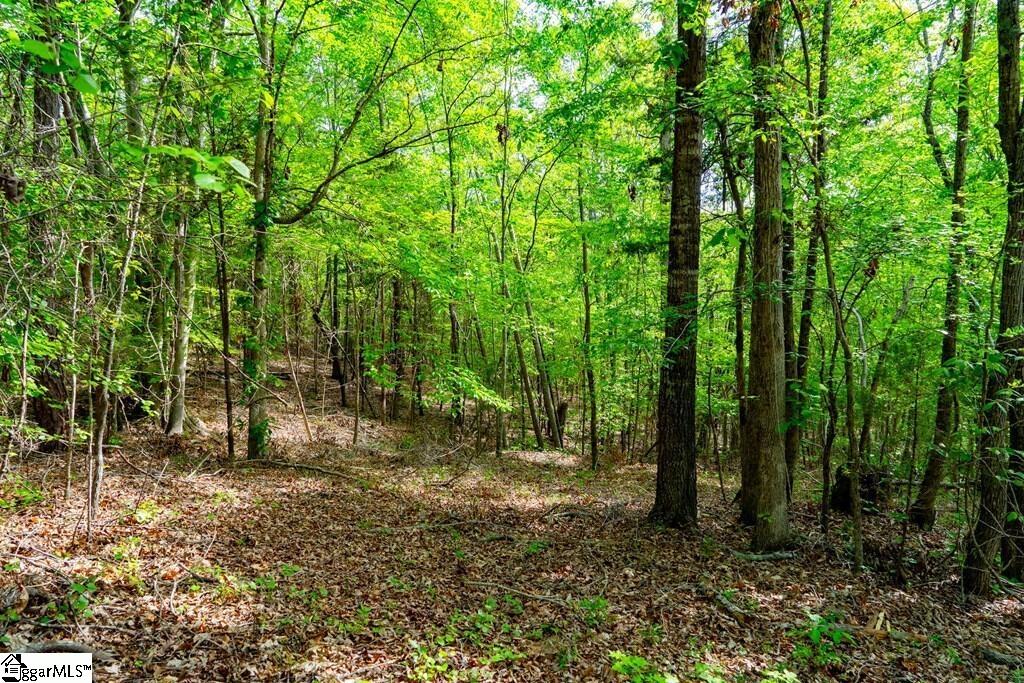 10389 Indian Mound Road Property Photo 27