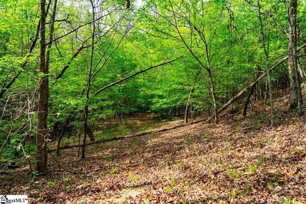 10389 Indian Mound Road Property Photo 28