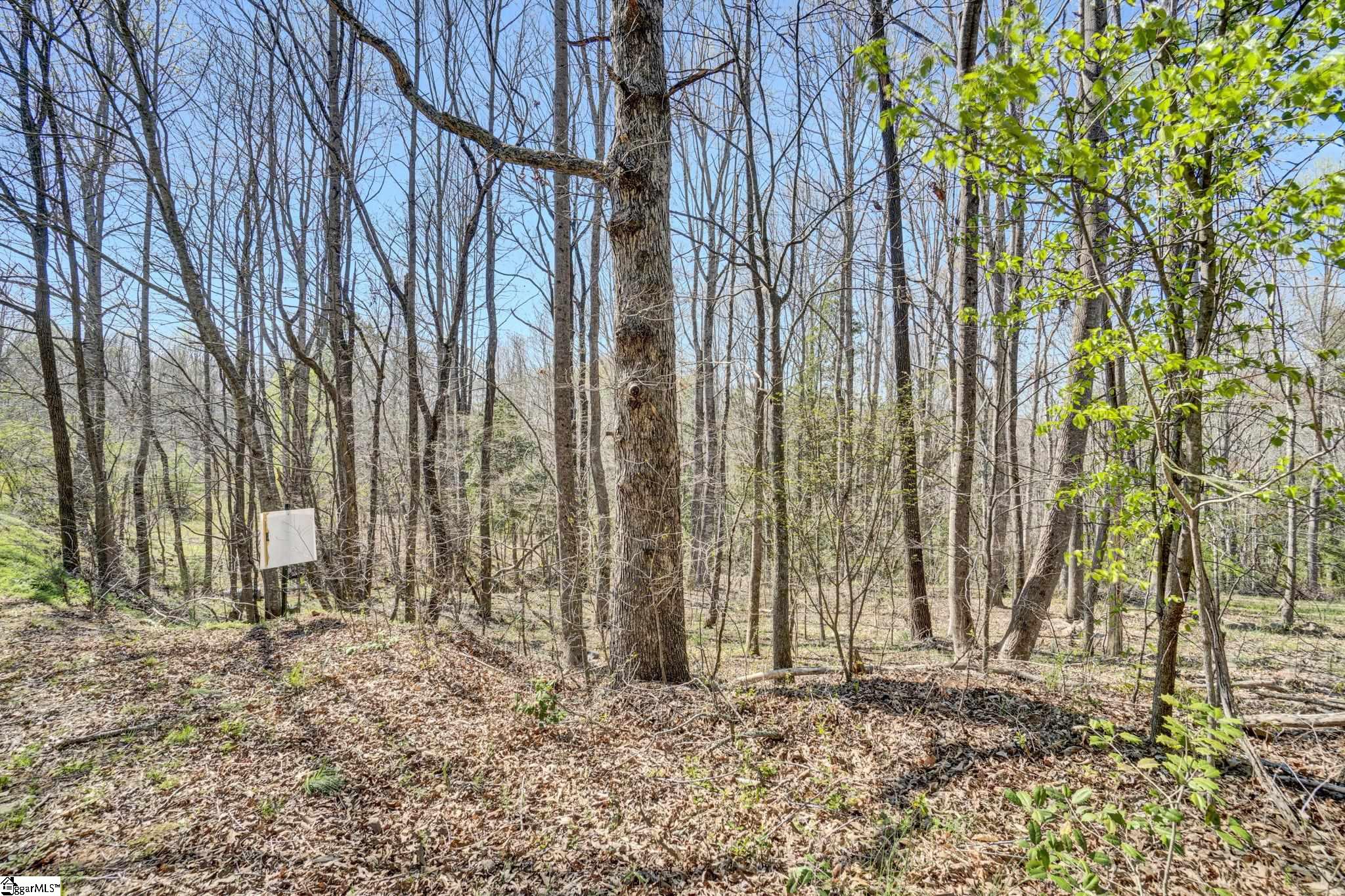 404 Thornbury Ridge Property Photo 4
