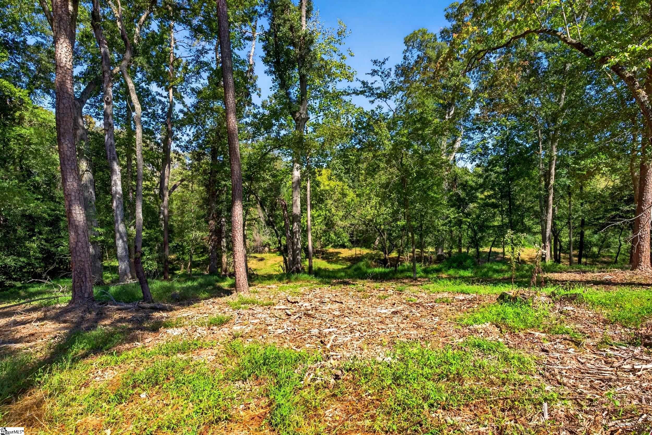 241 Bramlett Road Property Photo 14
