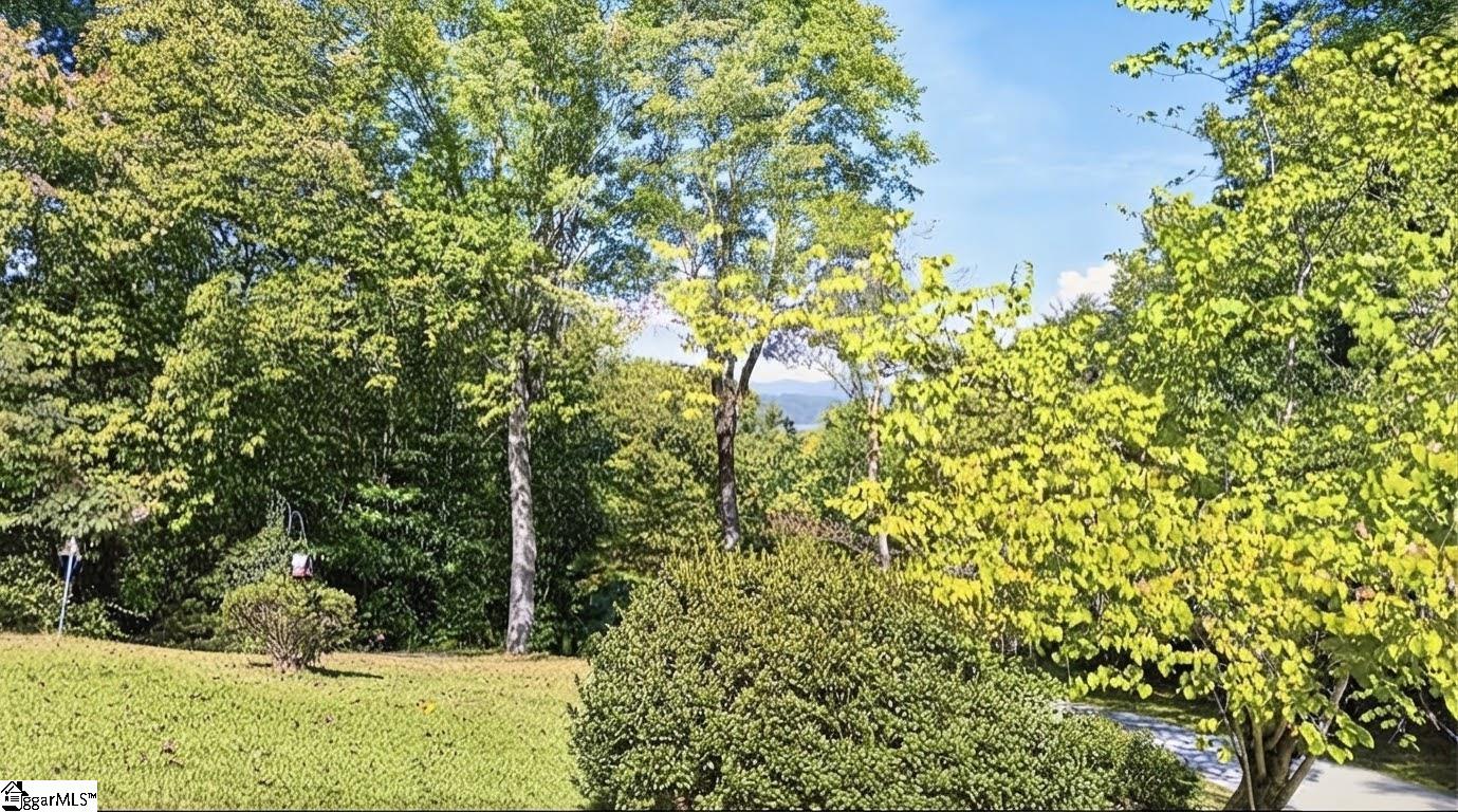 61 Allen Road Property Photo 5
