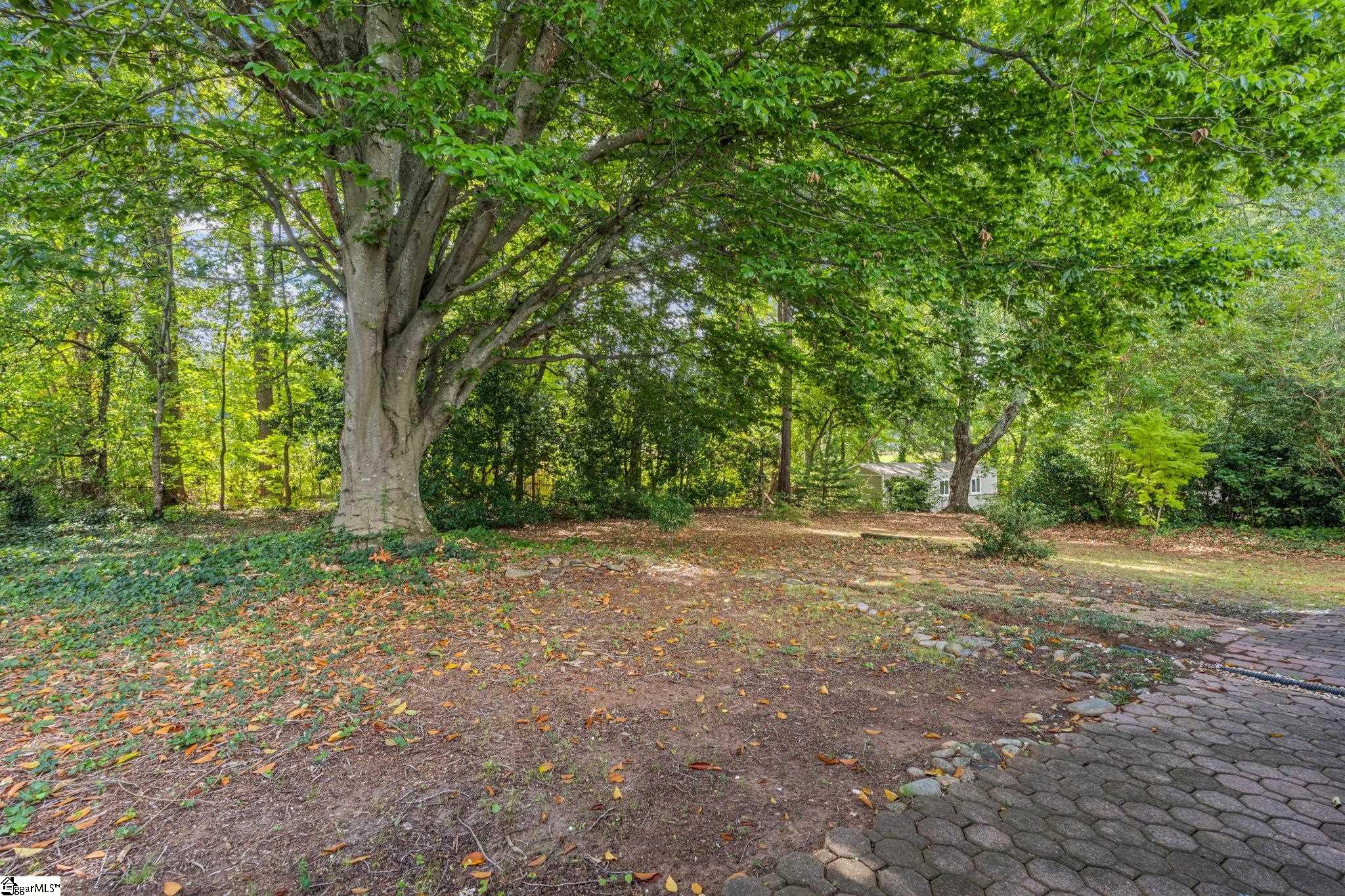 7 Dublin Court Property Photo 29