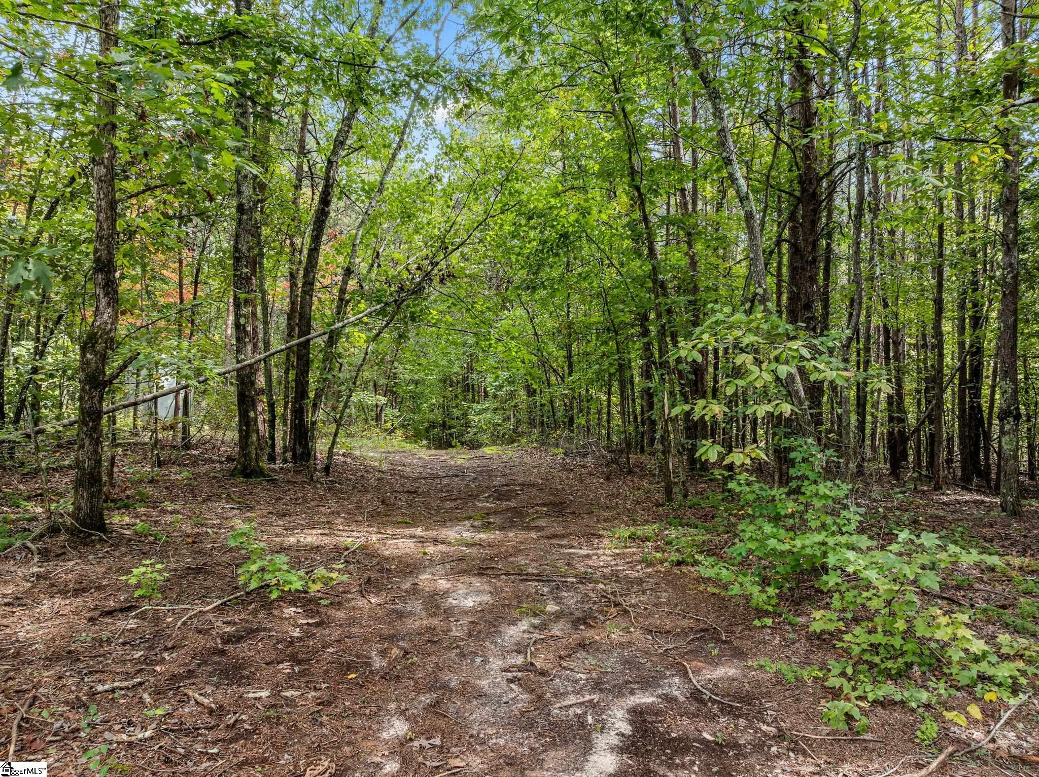 360 Greenwood Road Property Photo 37