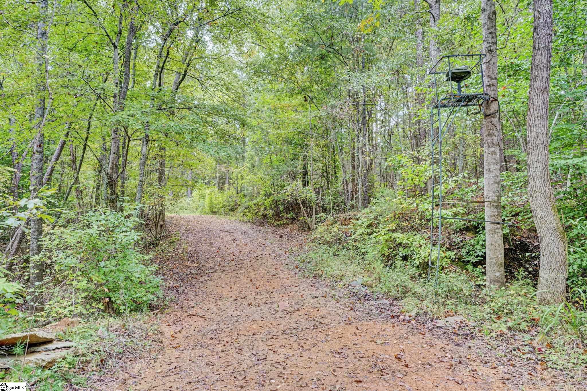 17305 Highway 76 West Property Photo 9