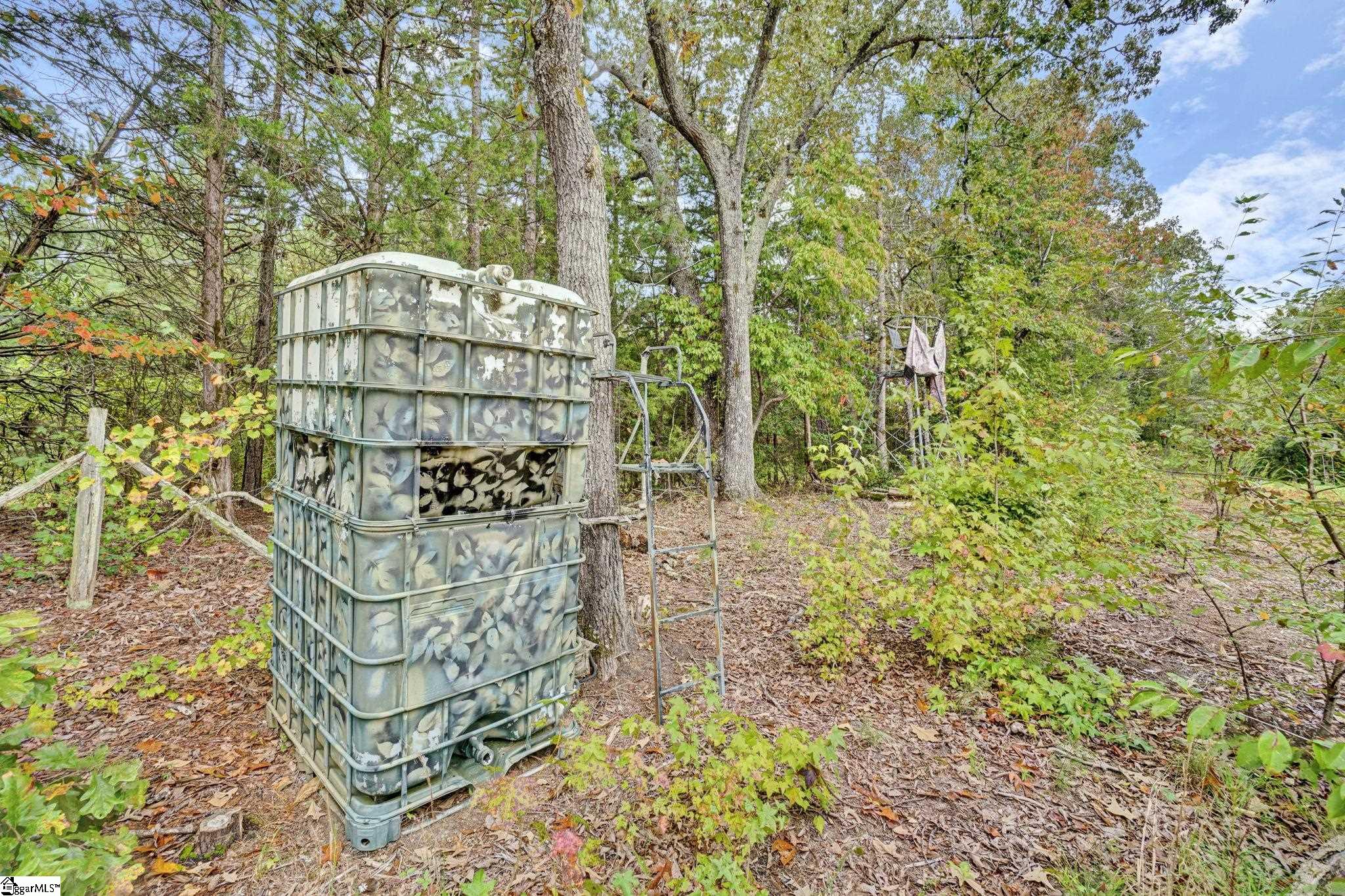 17305 Highway 76 West Property Photo 10