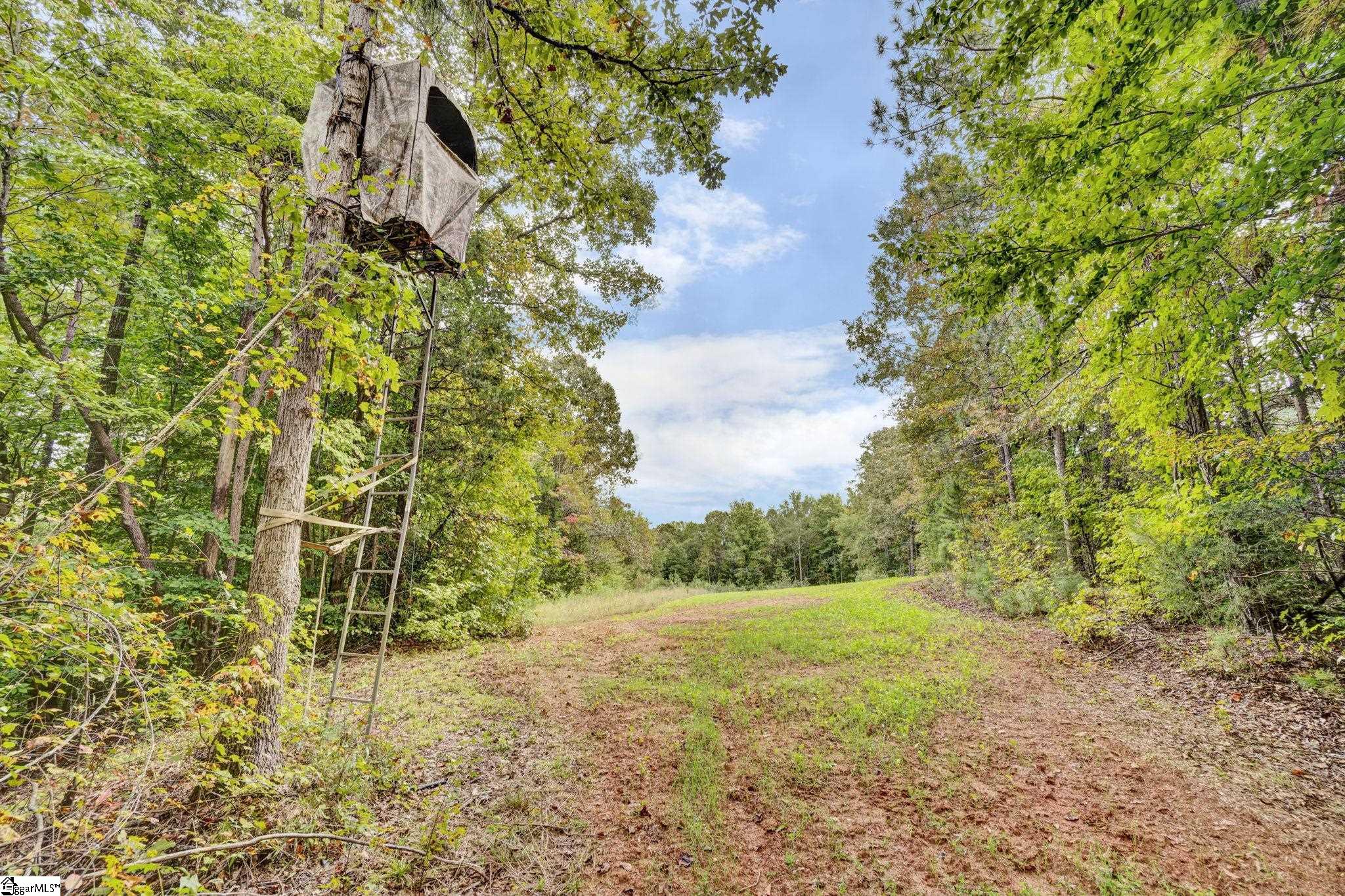 17305 Highway 76 West Property Photo 11