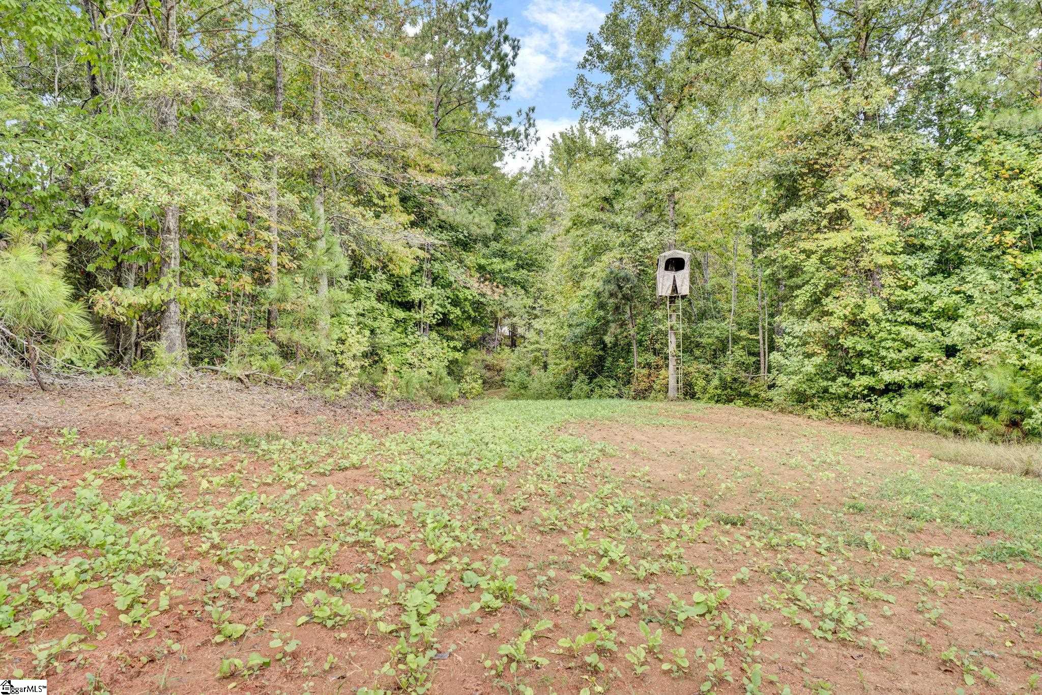 17305 Highway 76 West Property Photo 12