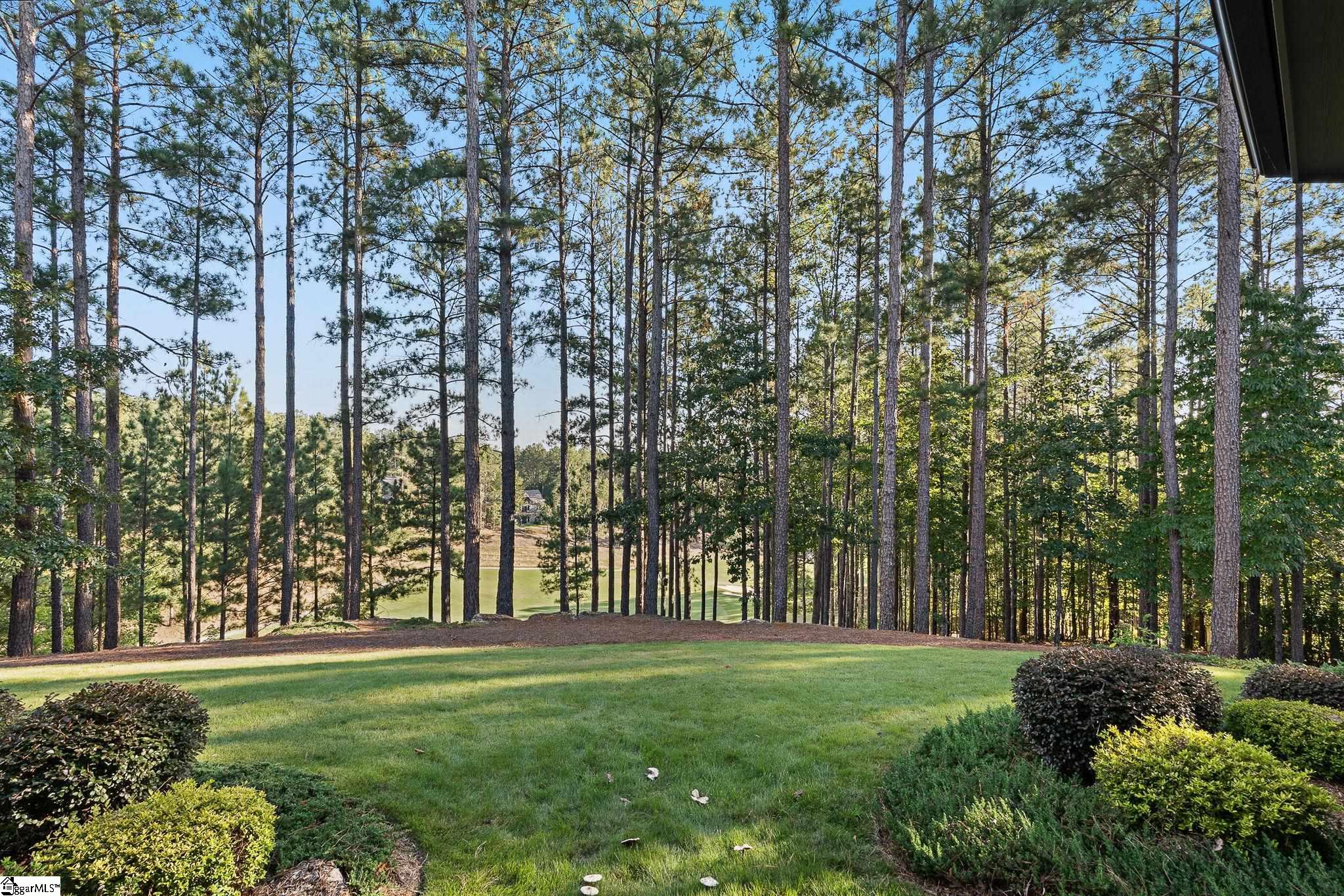 124 Golden Bear Drive Property Photo 43