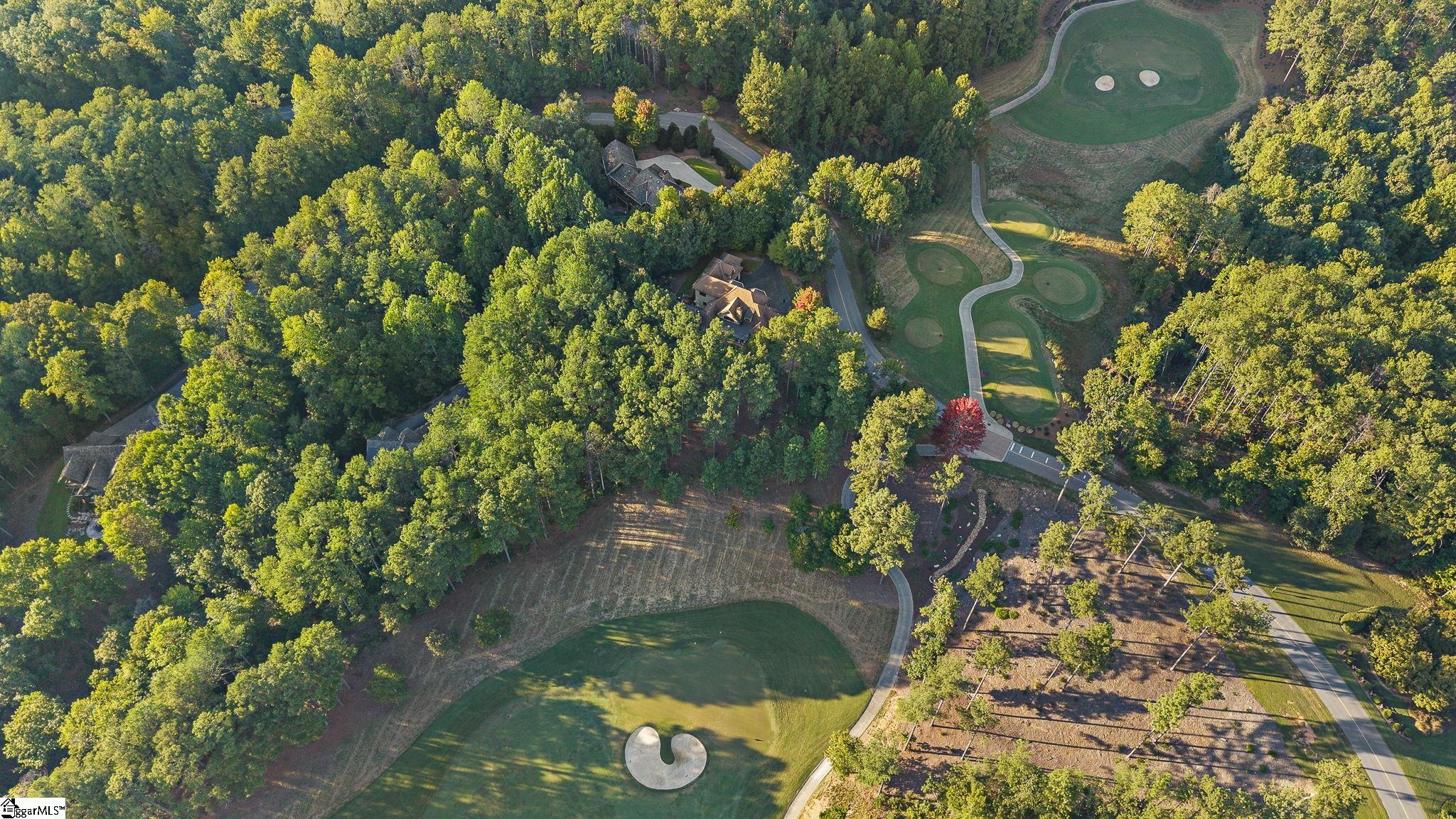 124 Golden Bear Drive Property Photo 50