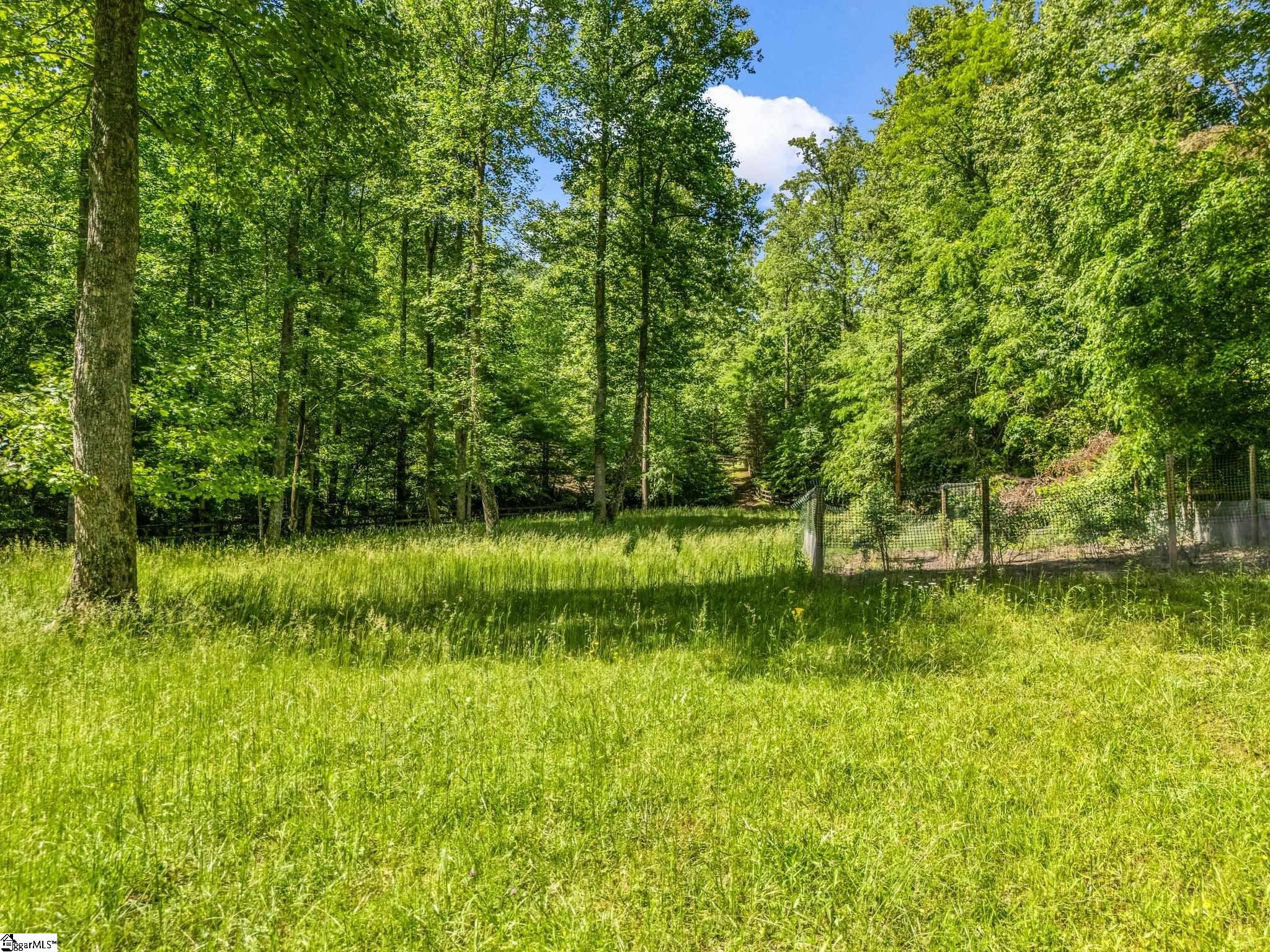 980 Mountain Forest Drive Property Photo 38