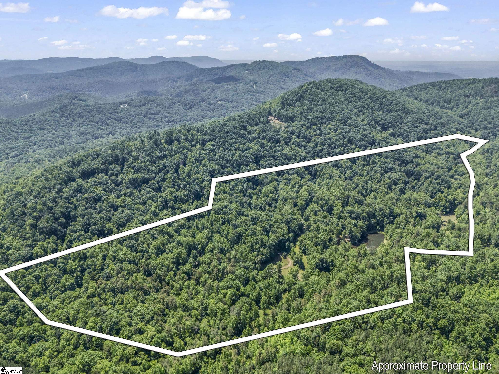 980 Mountain Forest Drive Property Photo 45