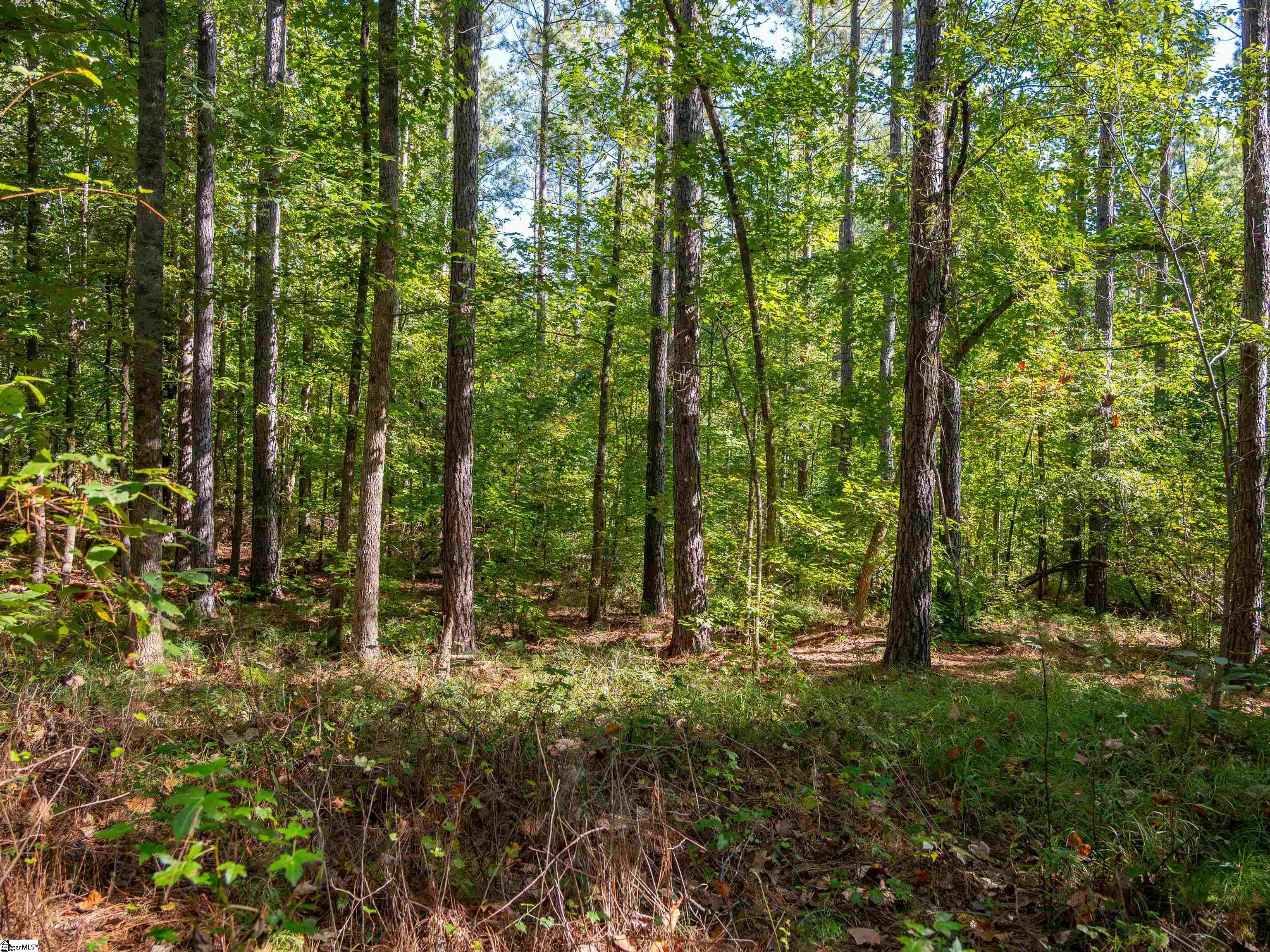 01 Oak Hill Road Property Photo 7