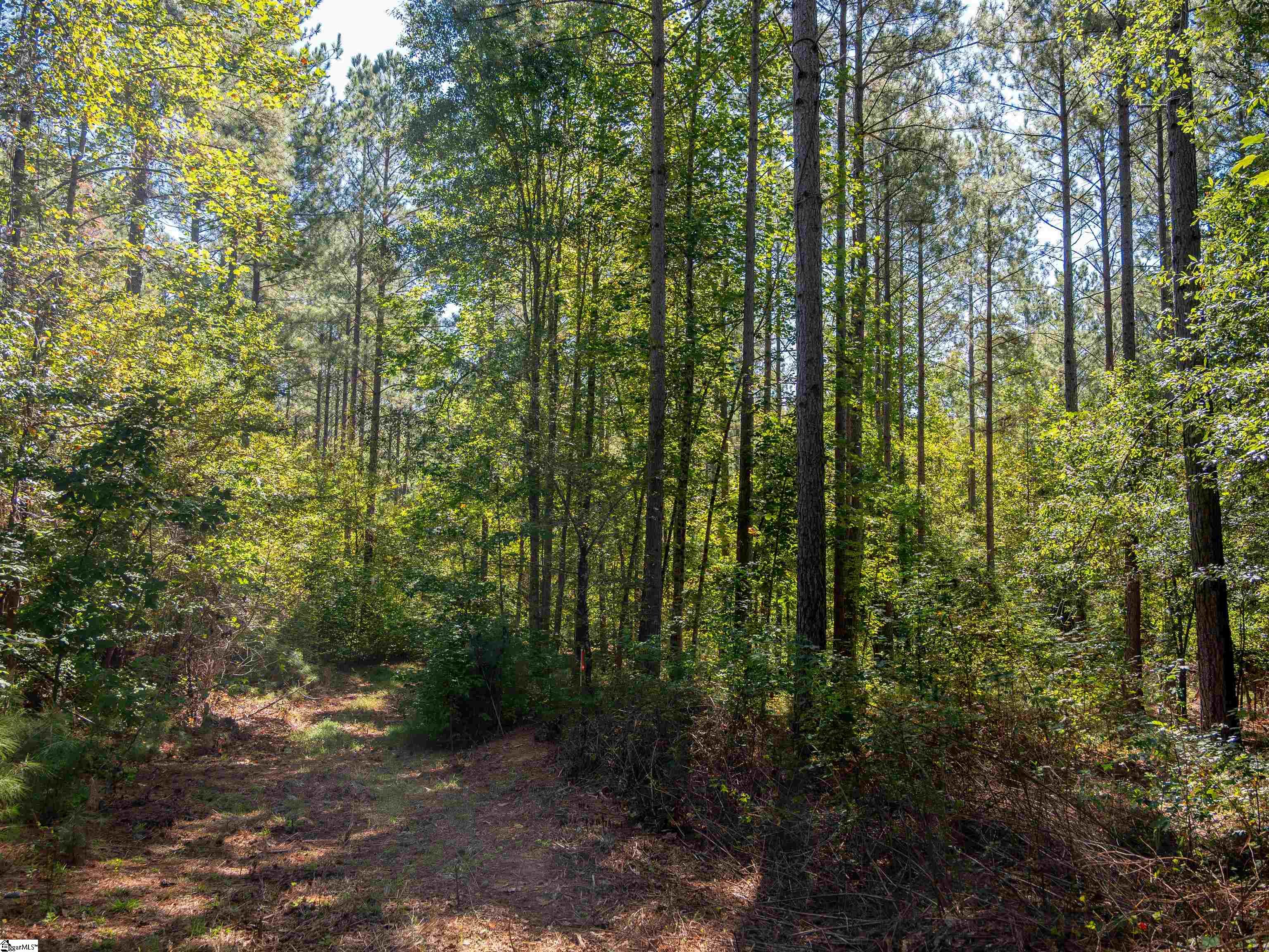 01 Oak Hill Road Property Photo 16