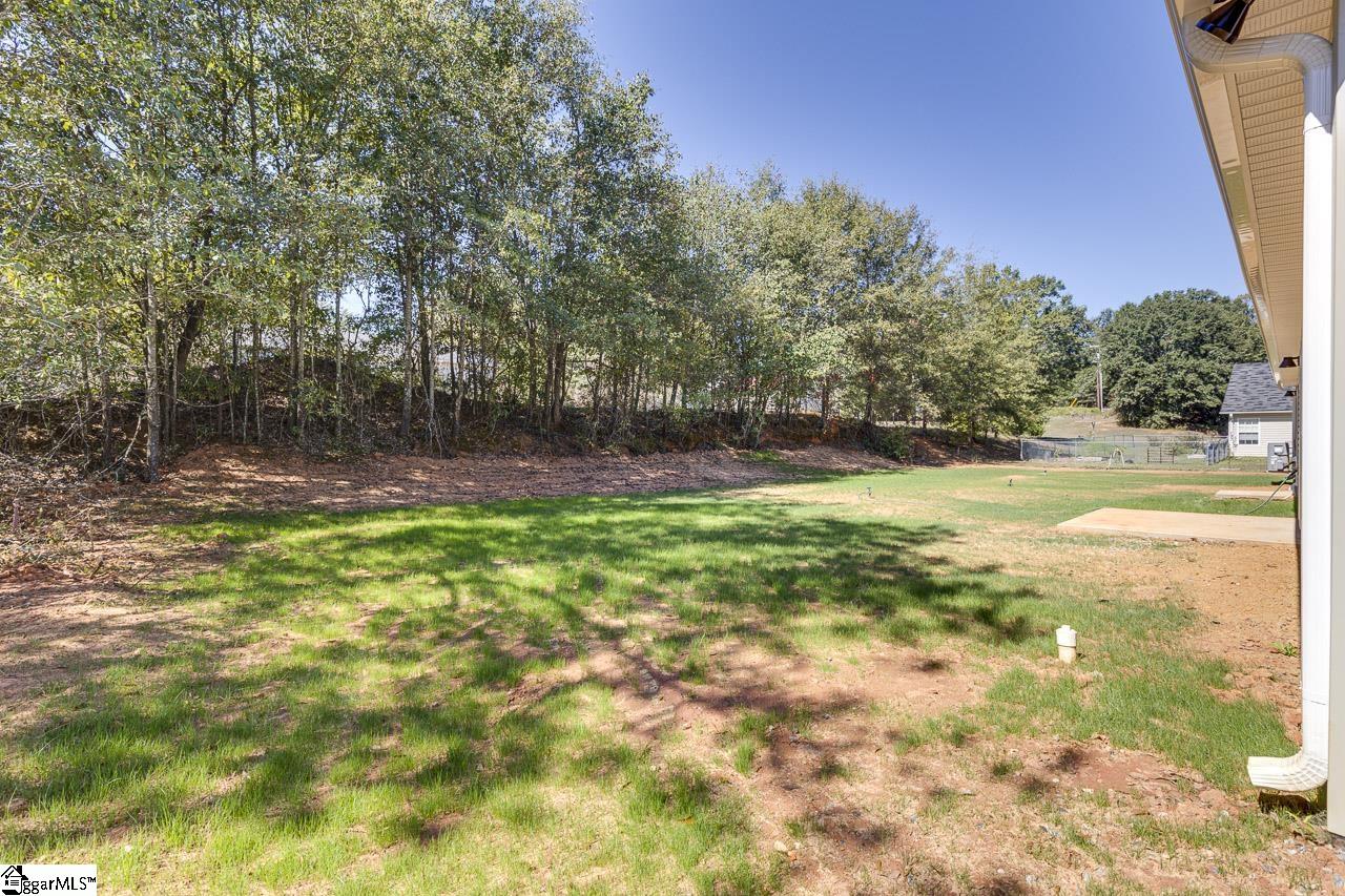 105 Springview Drive Property Photo 34