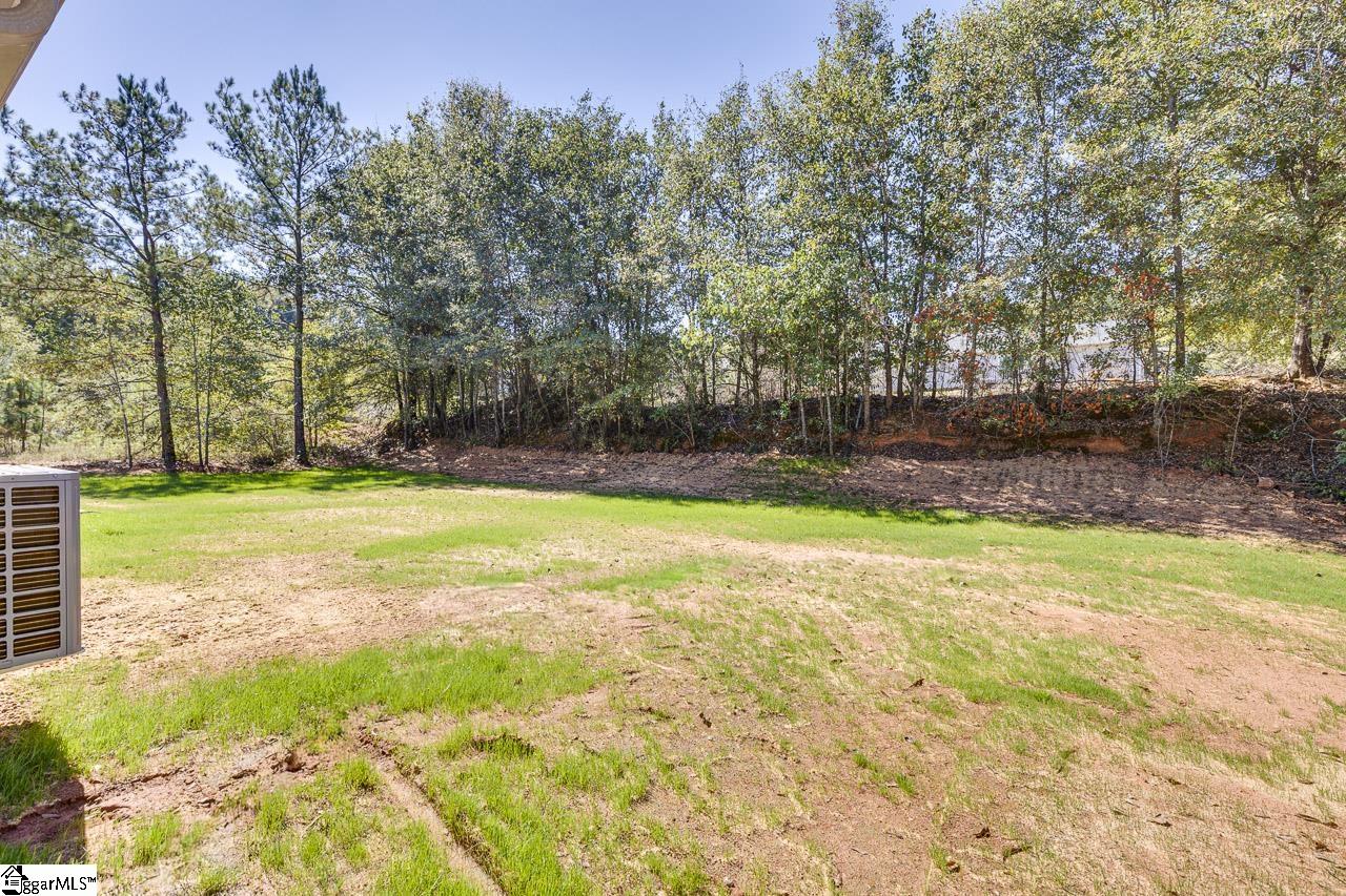 105 Springview Drive Property Photo 35