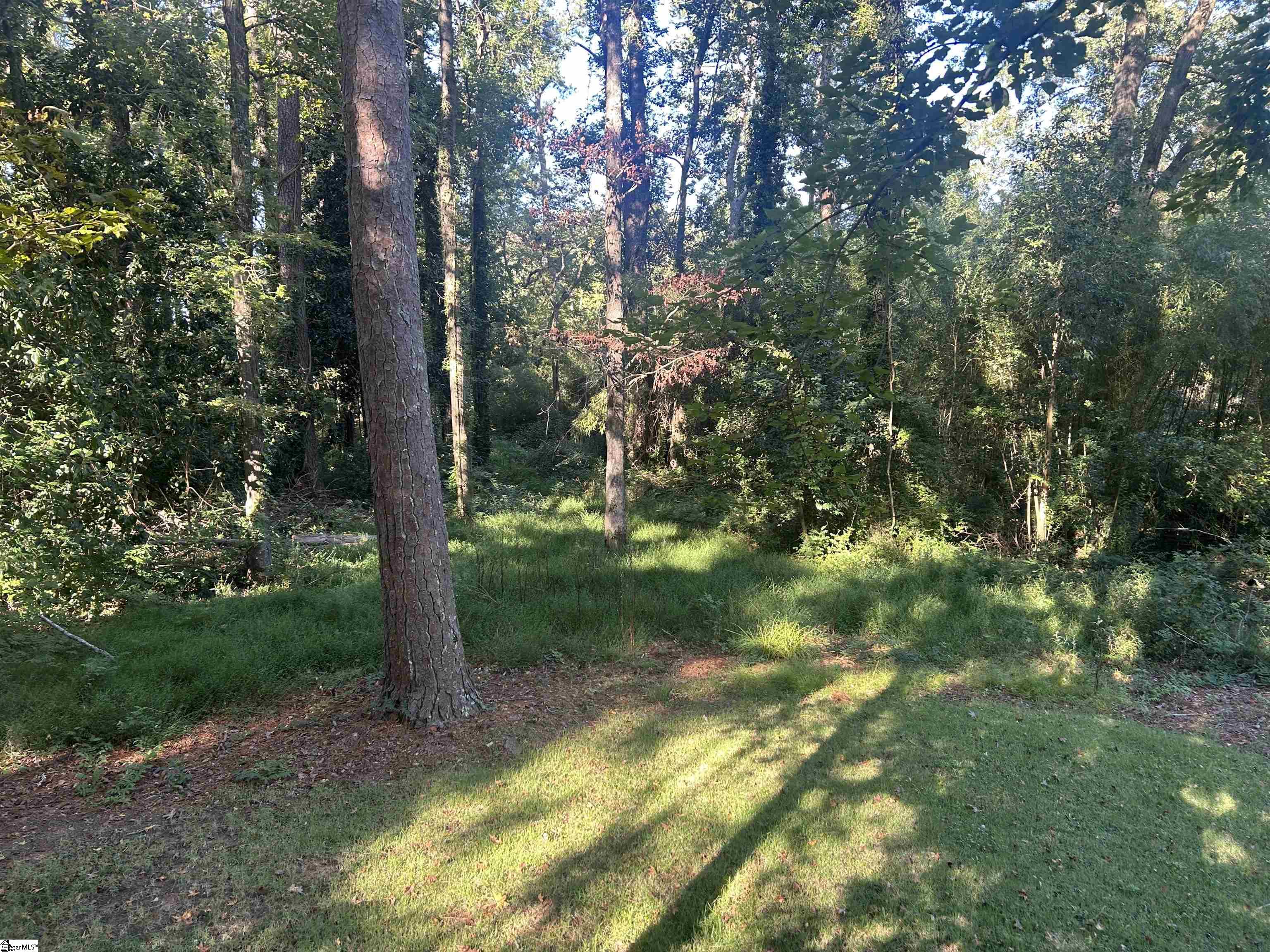 402 Chestnut Street Property Photo 37