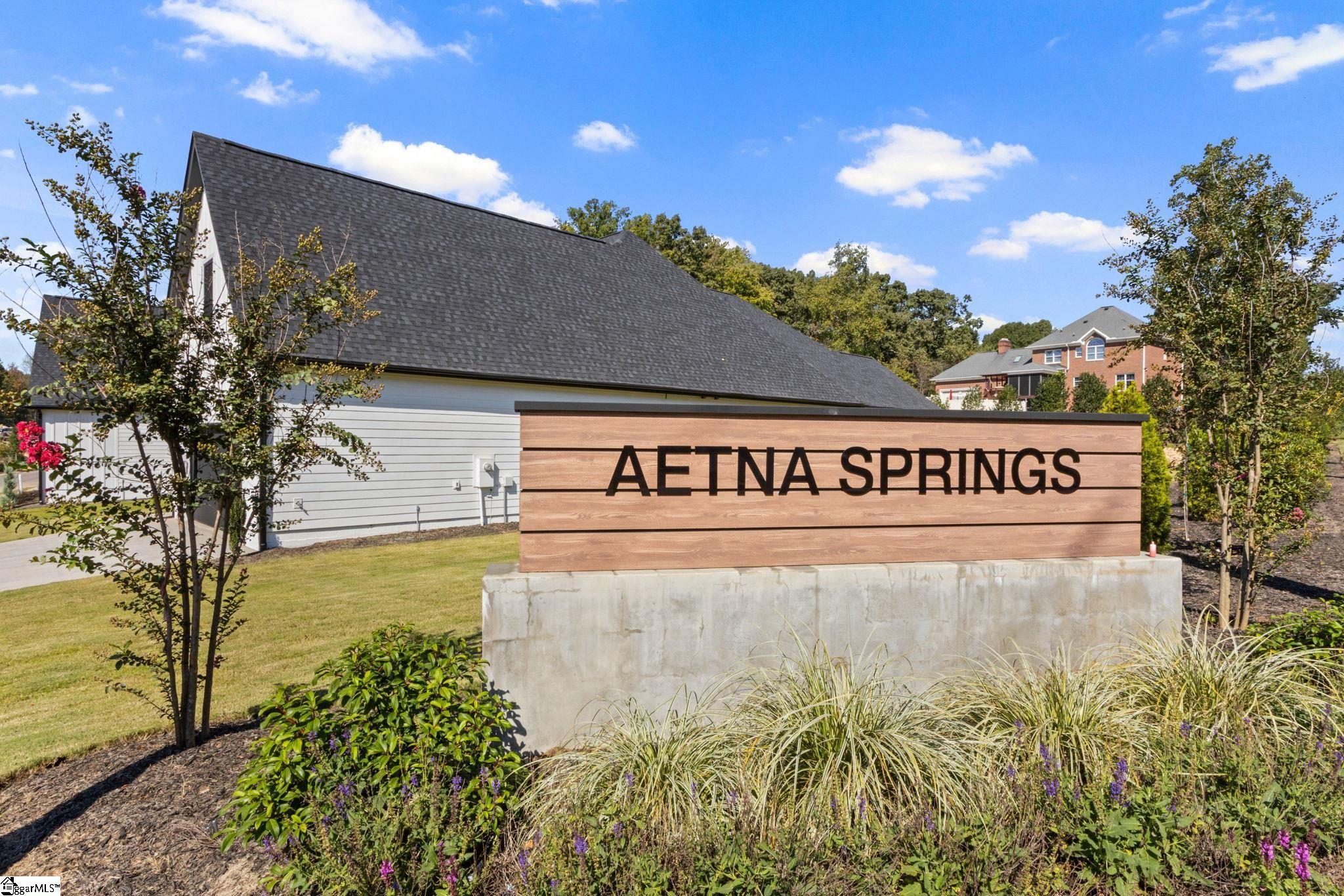 18 Aetna Springs Court Property Photo 40