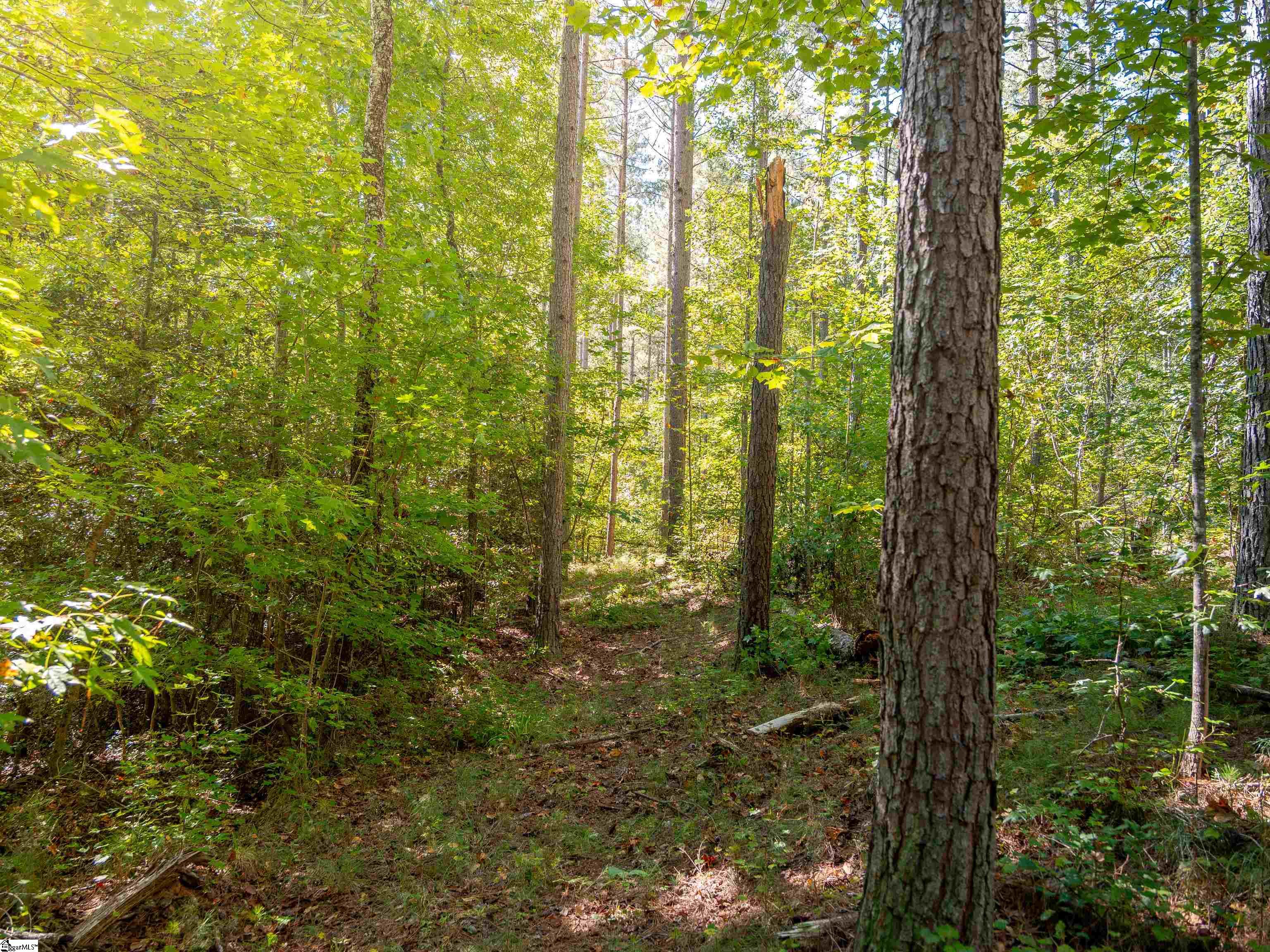 03 Oak Hill Road Property Photo 5