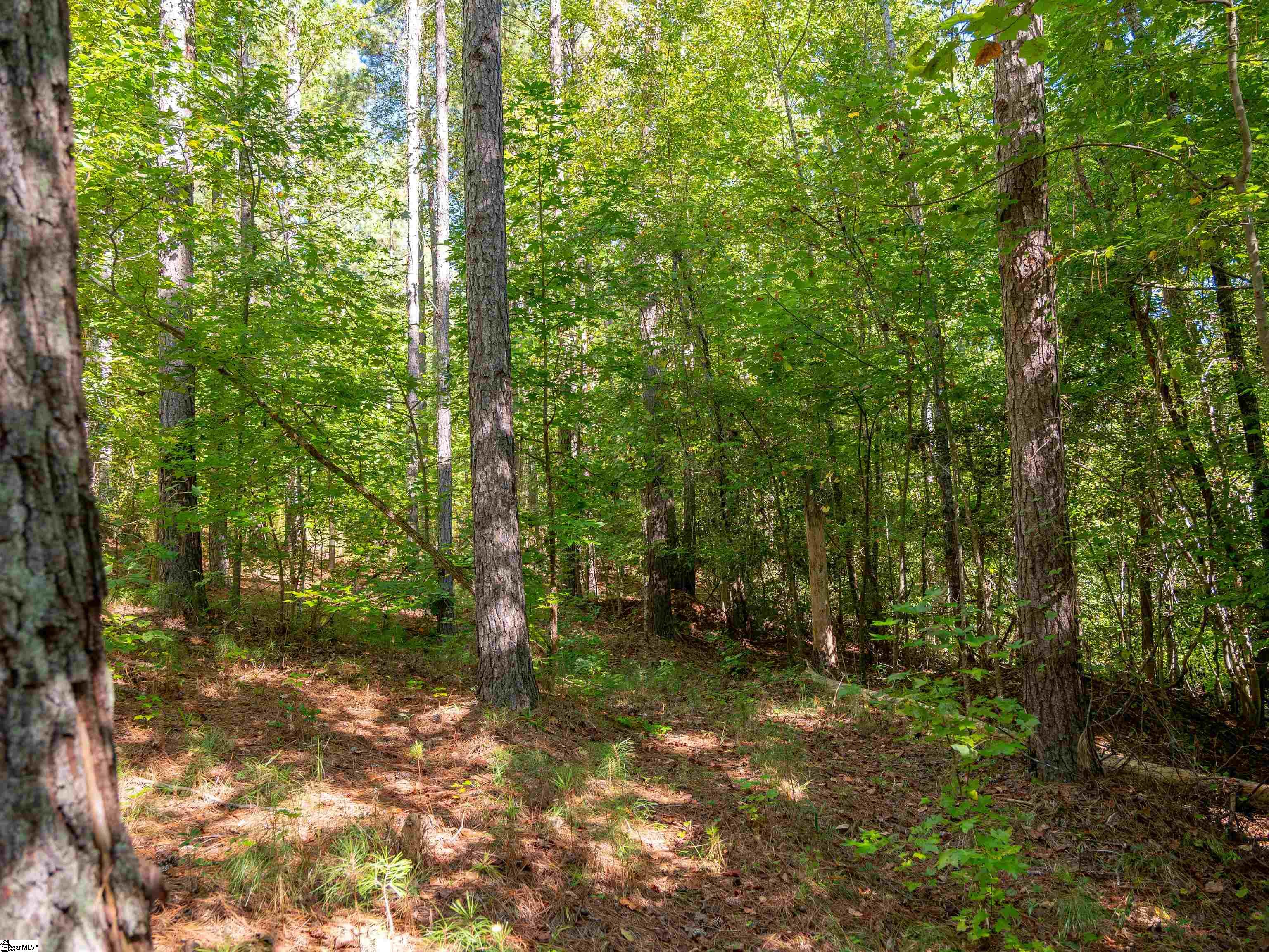 03 Oak Hill Road Property Photo 12