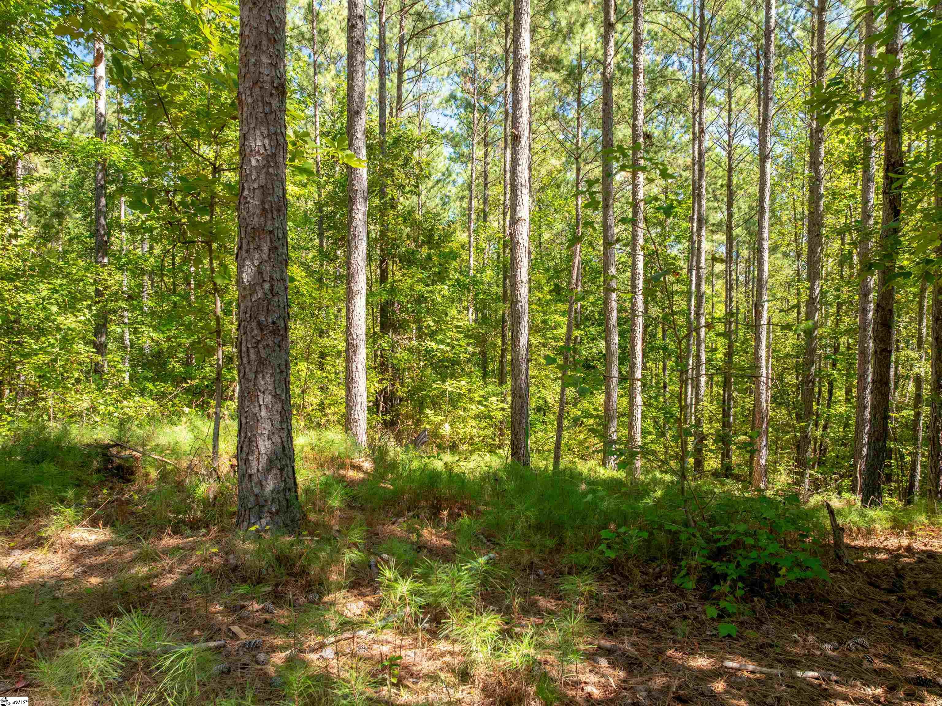 03 Oak Hill Road Property Photo 19