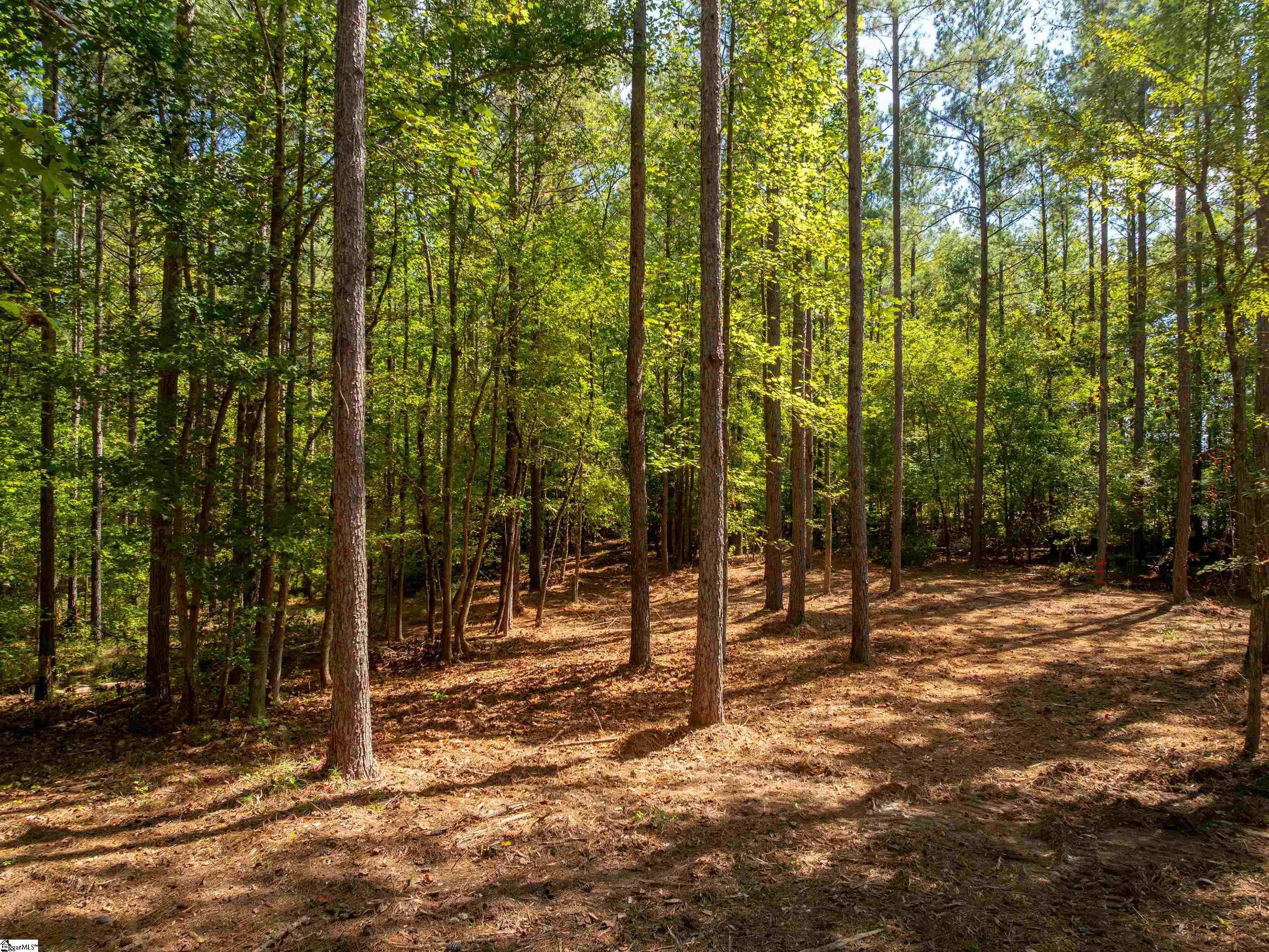 05 Oak Hill Road Property Photo 9