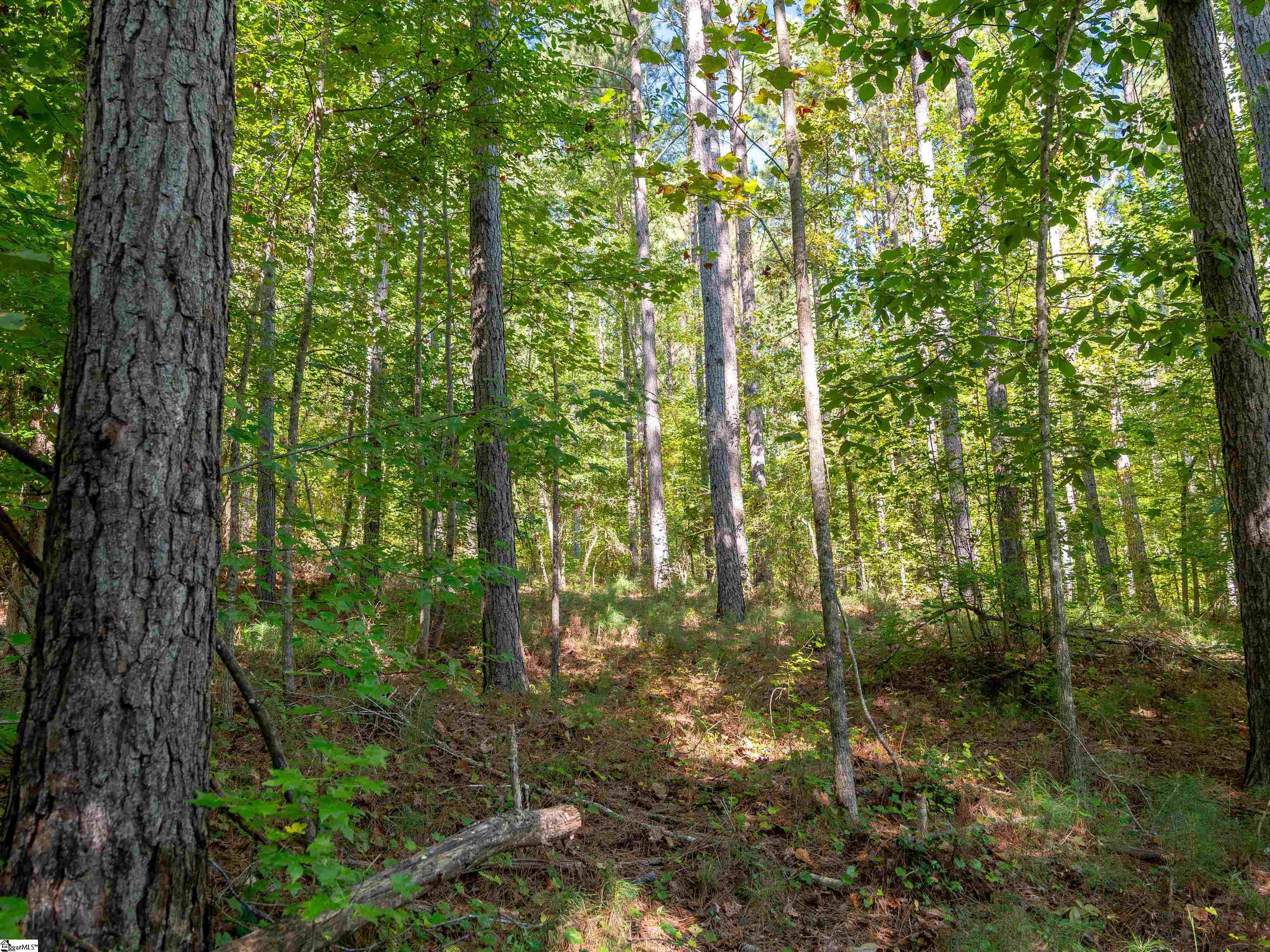 05 Oak Hill Road Property Photo 18