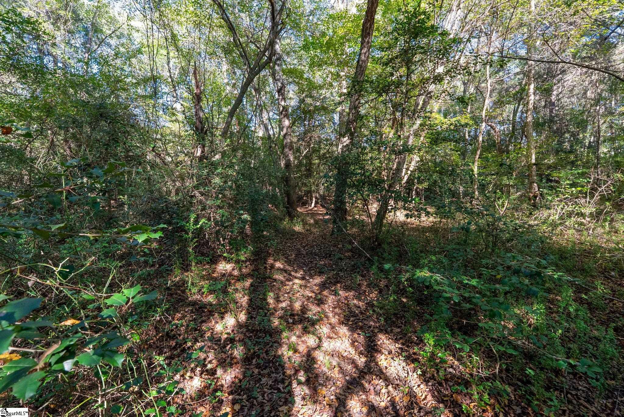 10 Griffith Knoll Way Property Photo 50