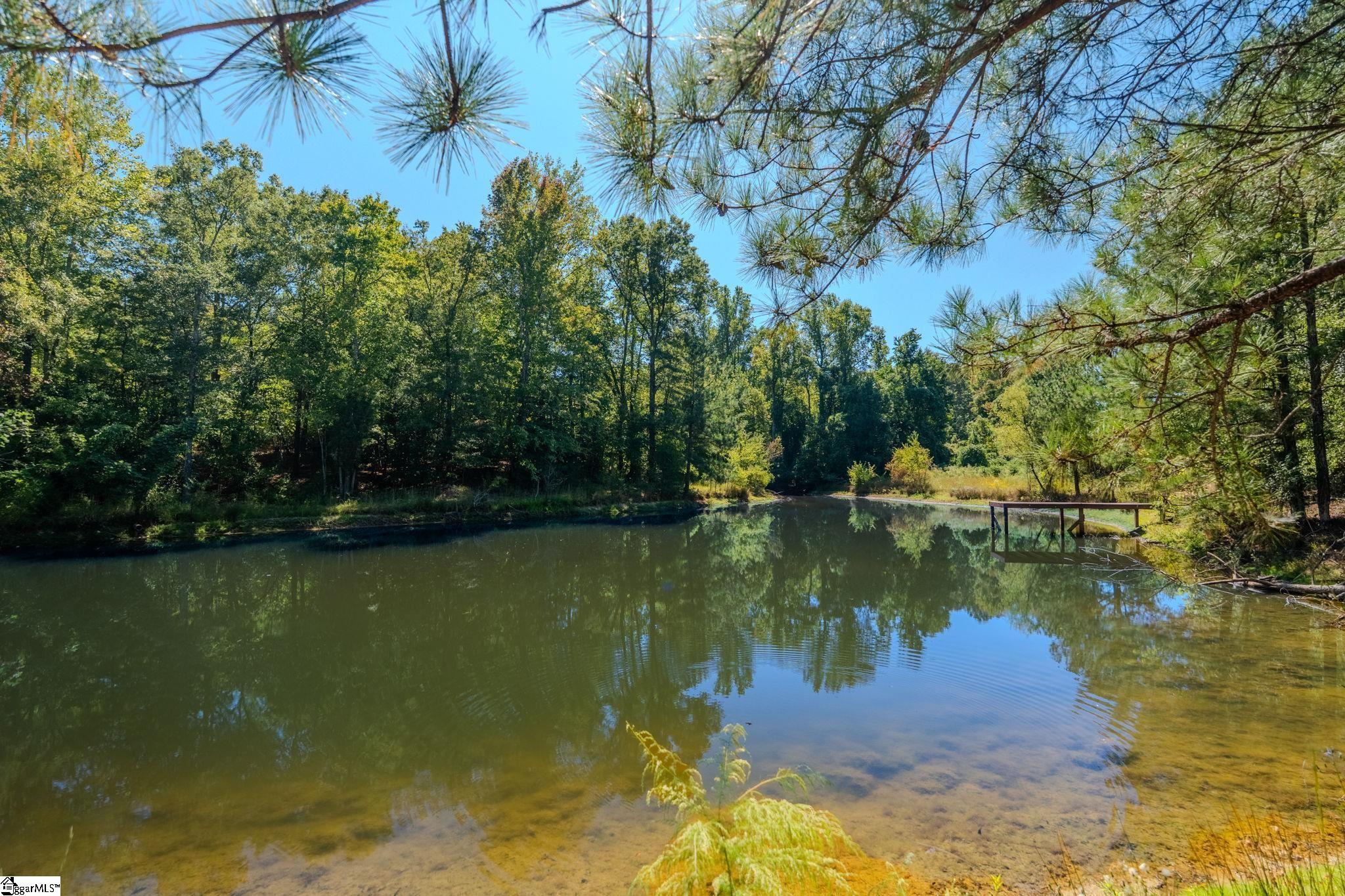 1298 Boggy Branch Road Property Photo 37