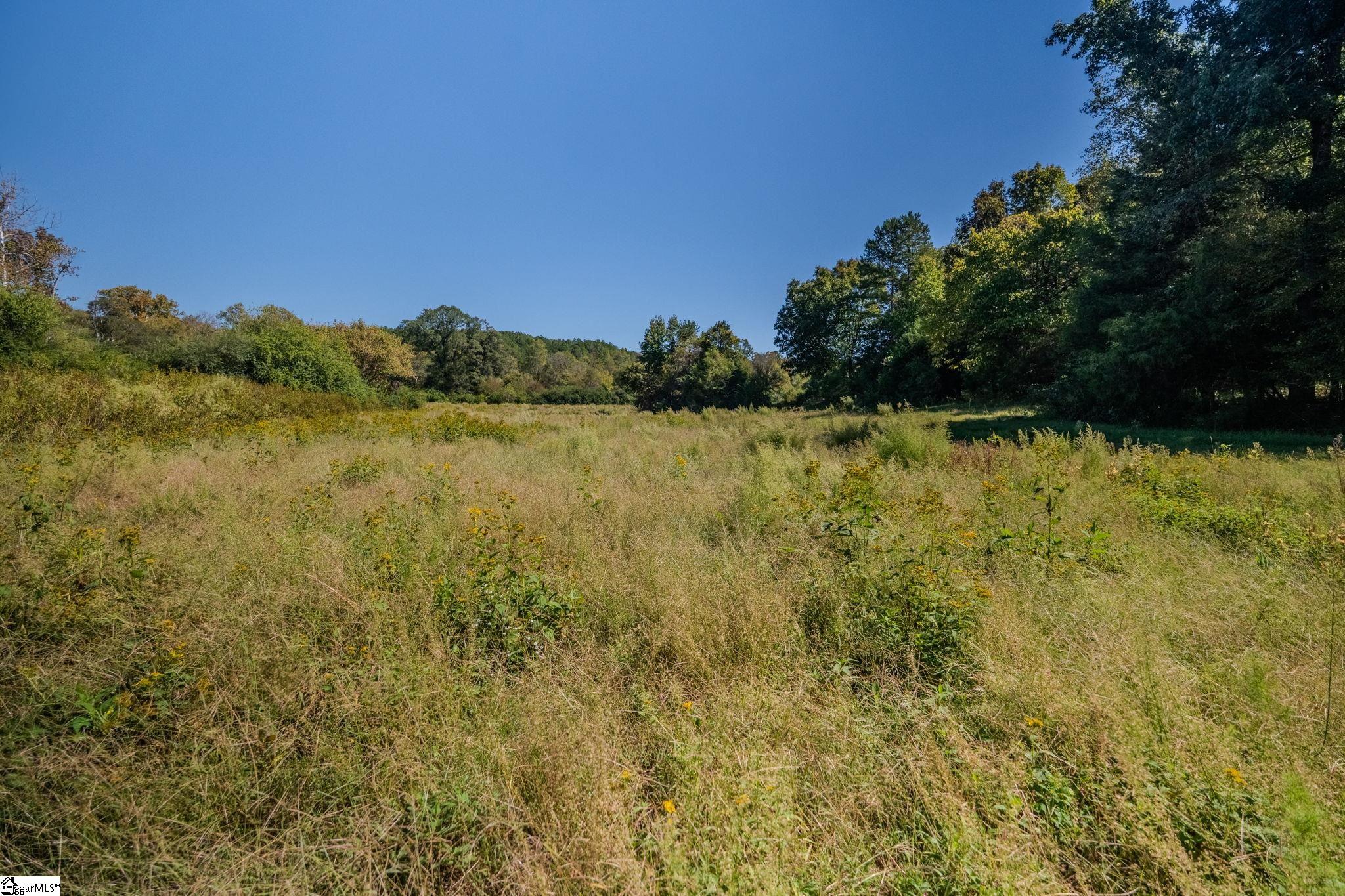 1298 Boggy Branch Road Property Photo 39