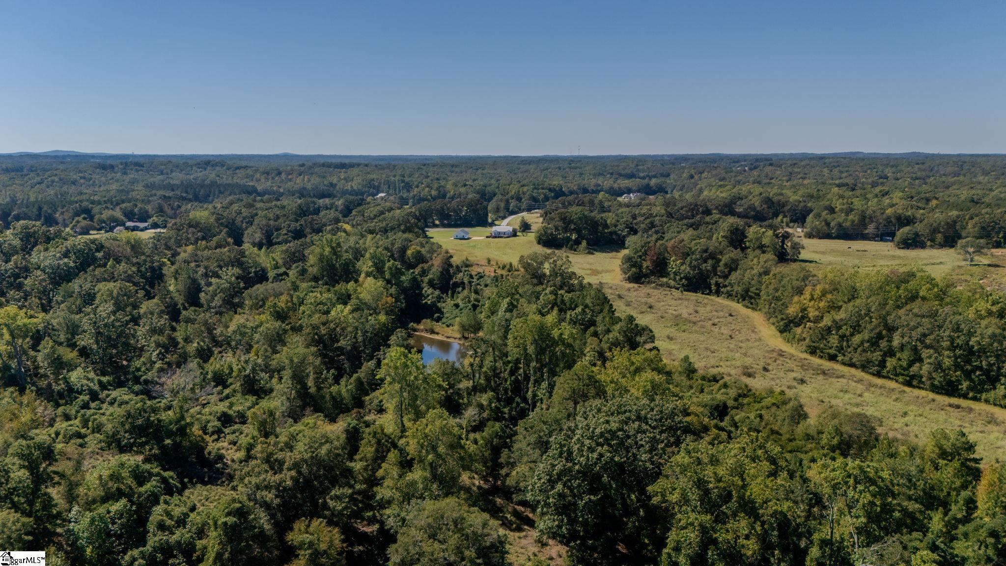1298 Boggy Branch Road Property Photo 49