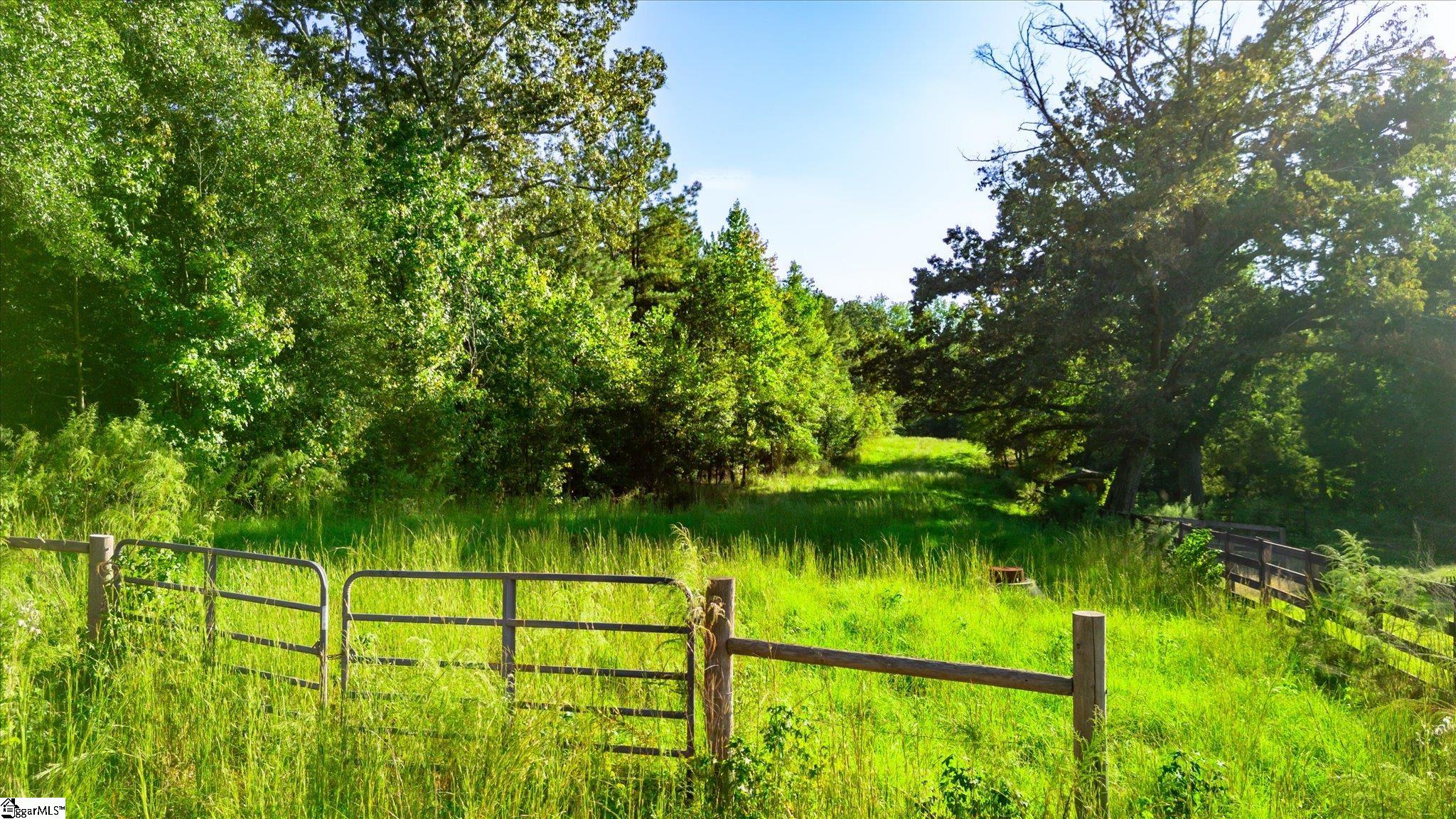 00 Blossom Branch Road Property Photo 10