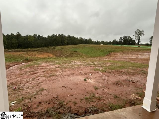 127 Edgewood Farms Court Property Photo 19