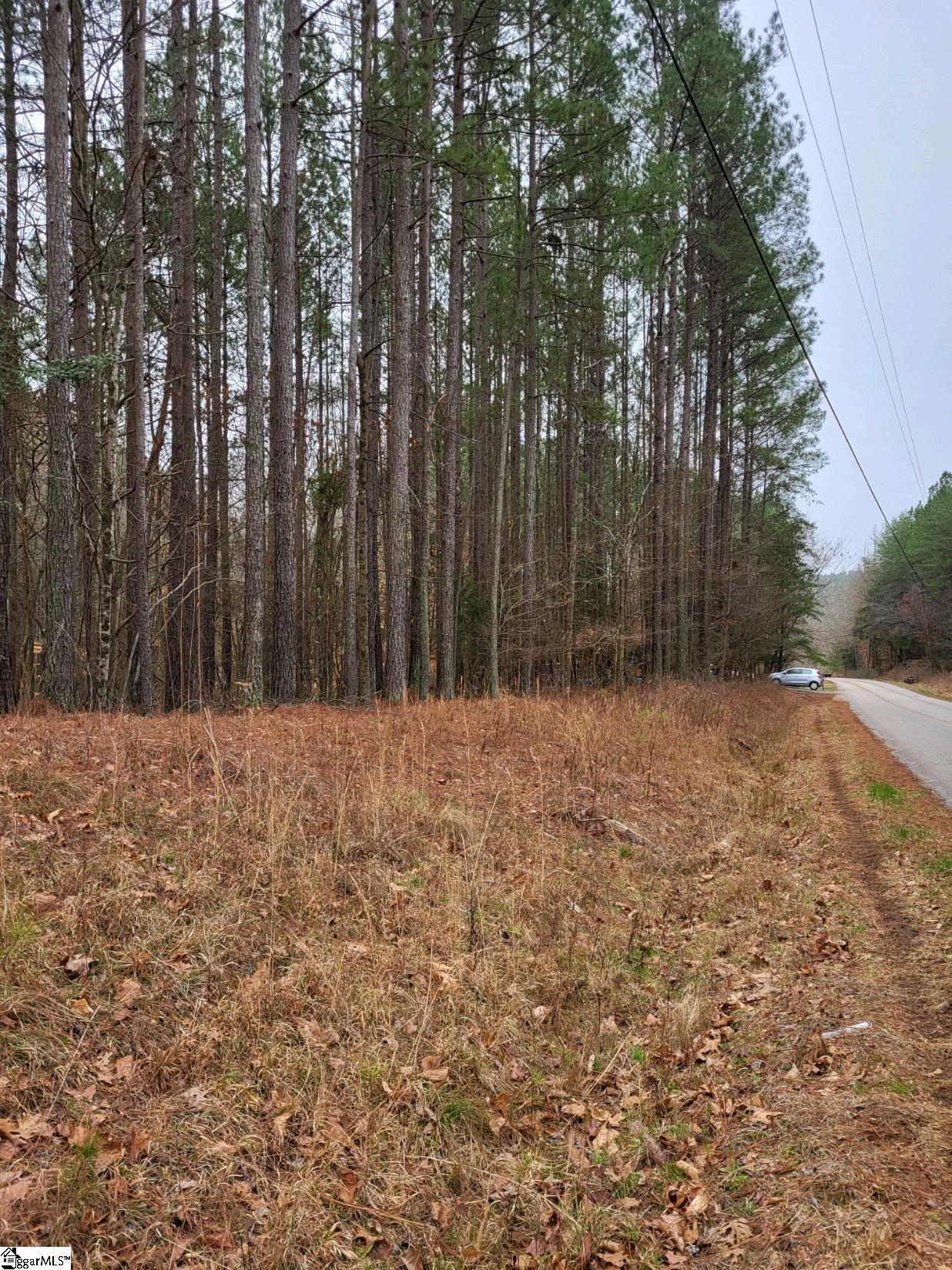 461 Cowford Bridge Road Property Photo 3