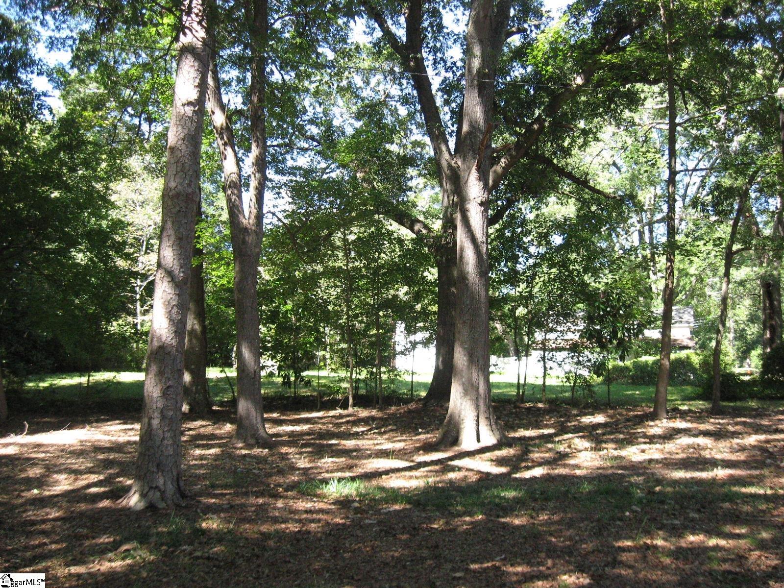 102 Oakland Avenue Property Photo 20