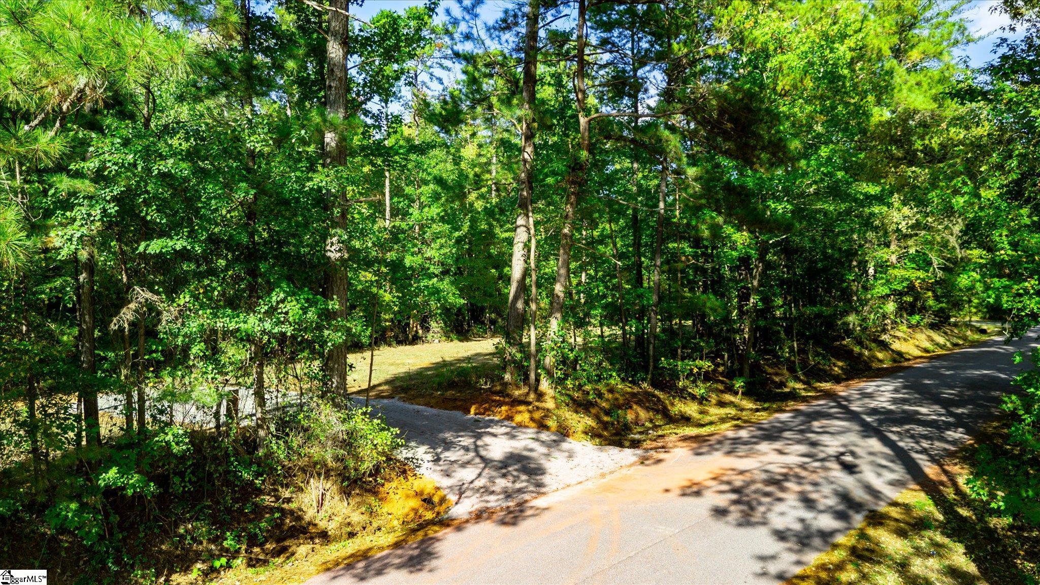 Tract A Lickville Road Property Photo 4