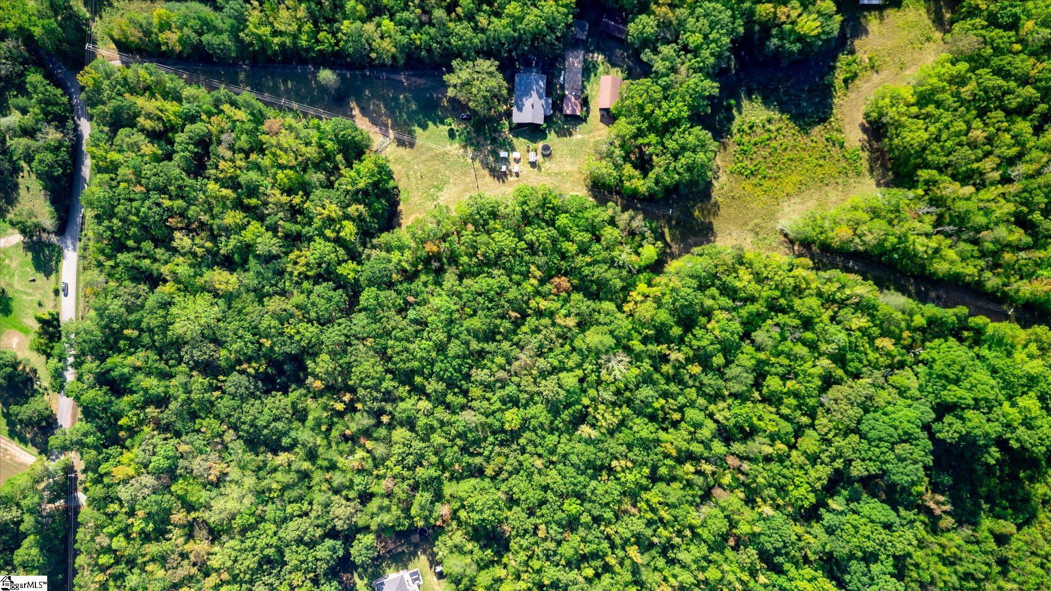Tract A Lickville Road Property Photo 6