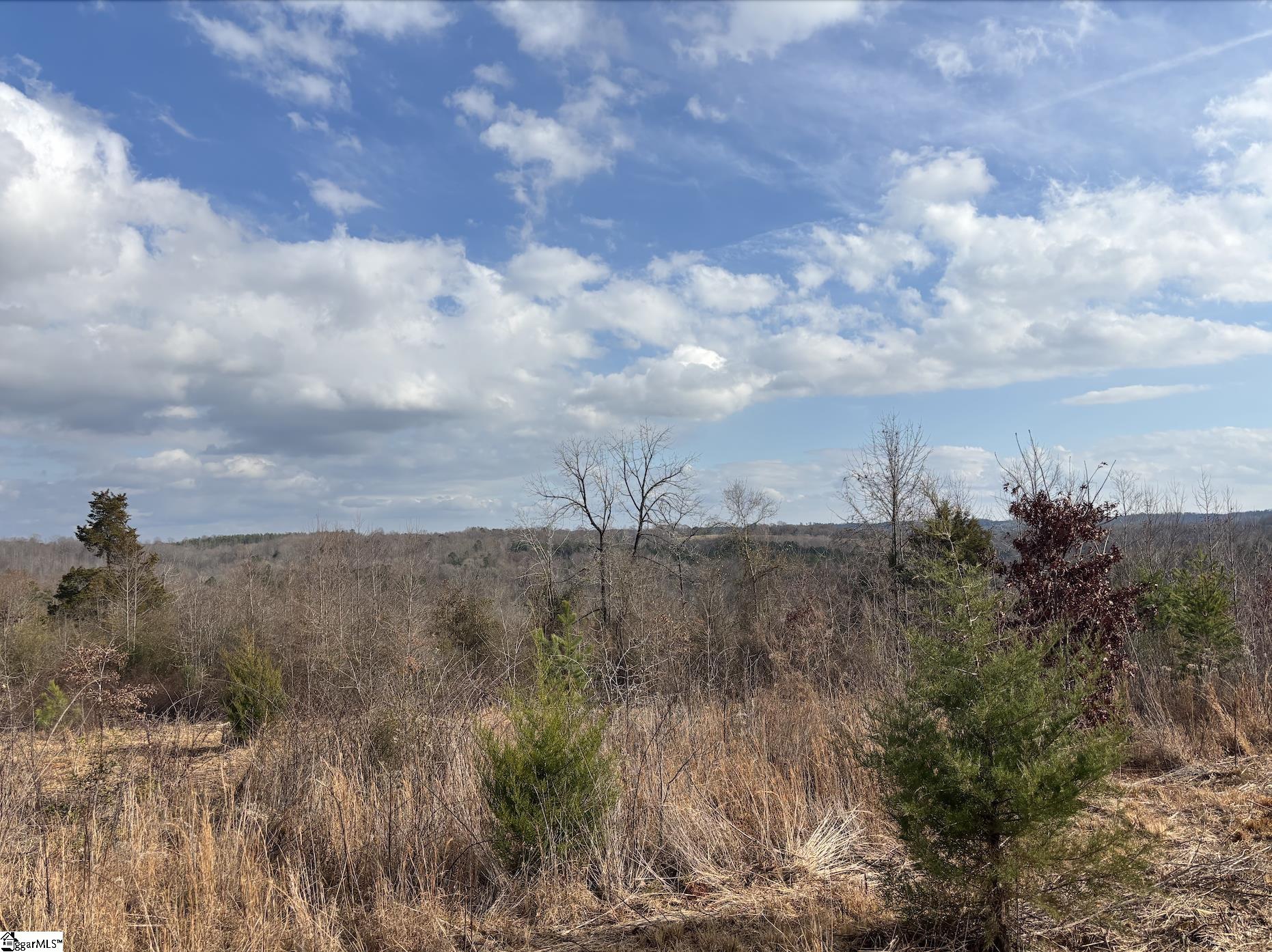 199 Johns Mill Road Property Photo 16