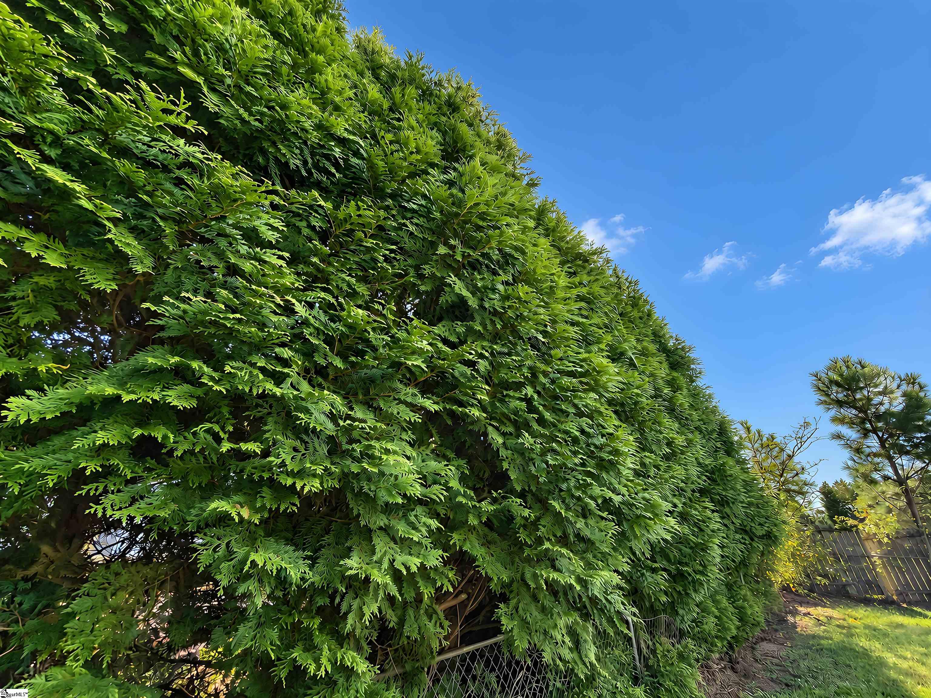2015 Ballenger Road Property Photo 8