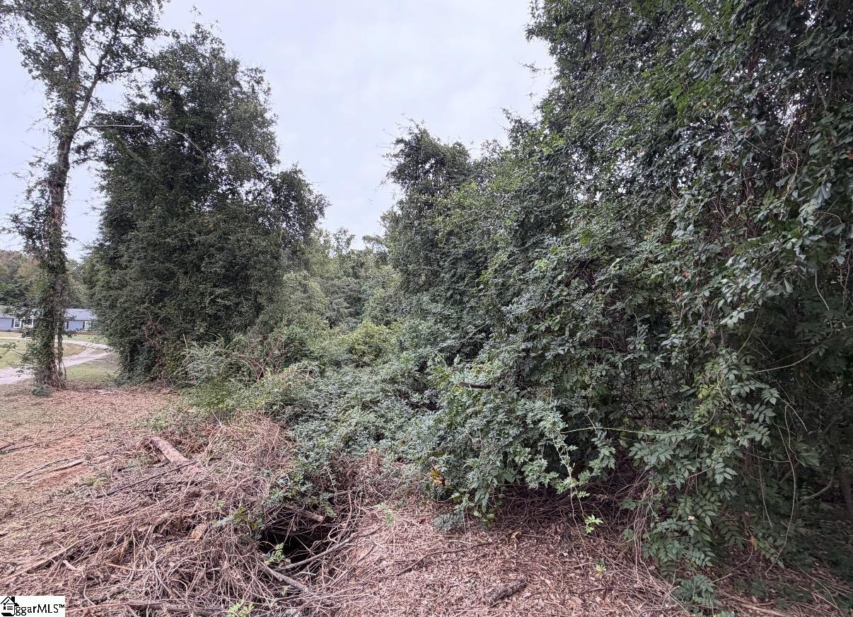0 E Georgia Road Property Photo 1