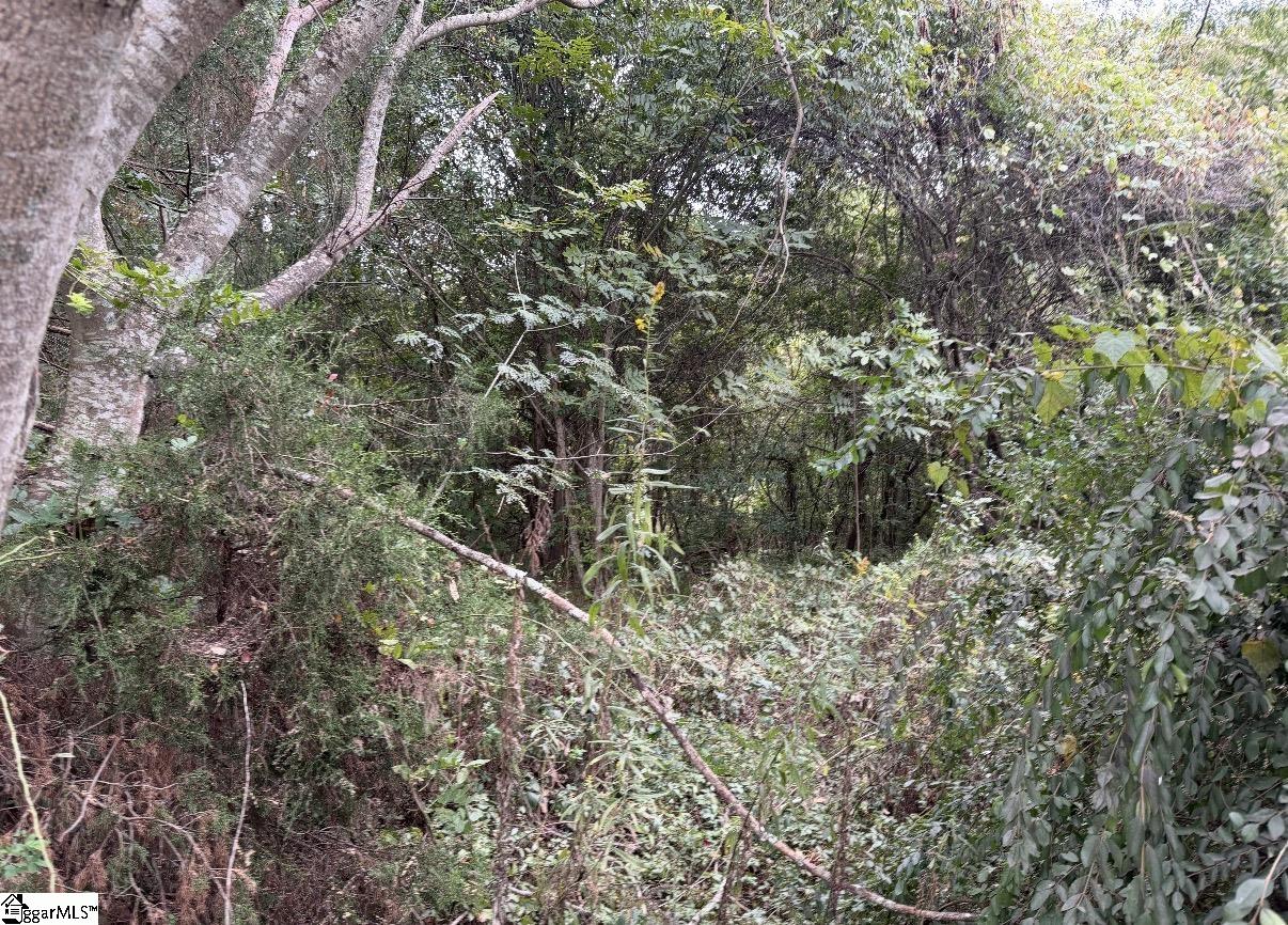 0 E Georgia Road Property Photo 5