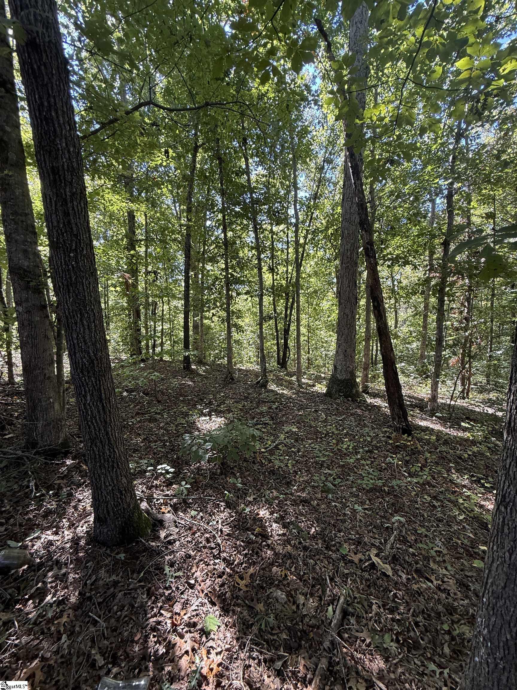 746 Breazeale Road Property Photo 3