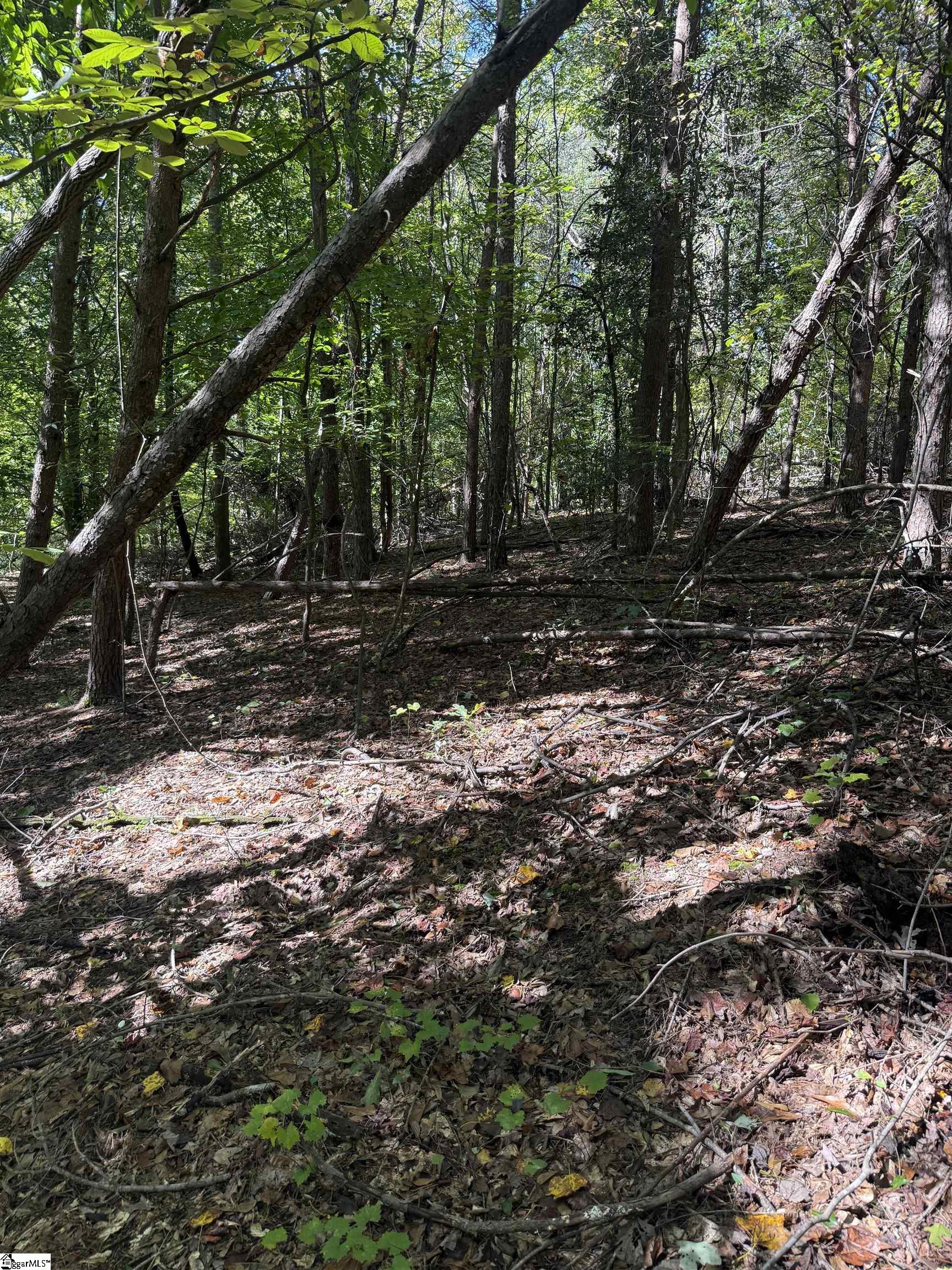 746 Breazeale Road Property Photo 4