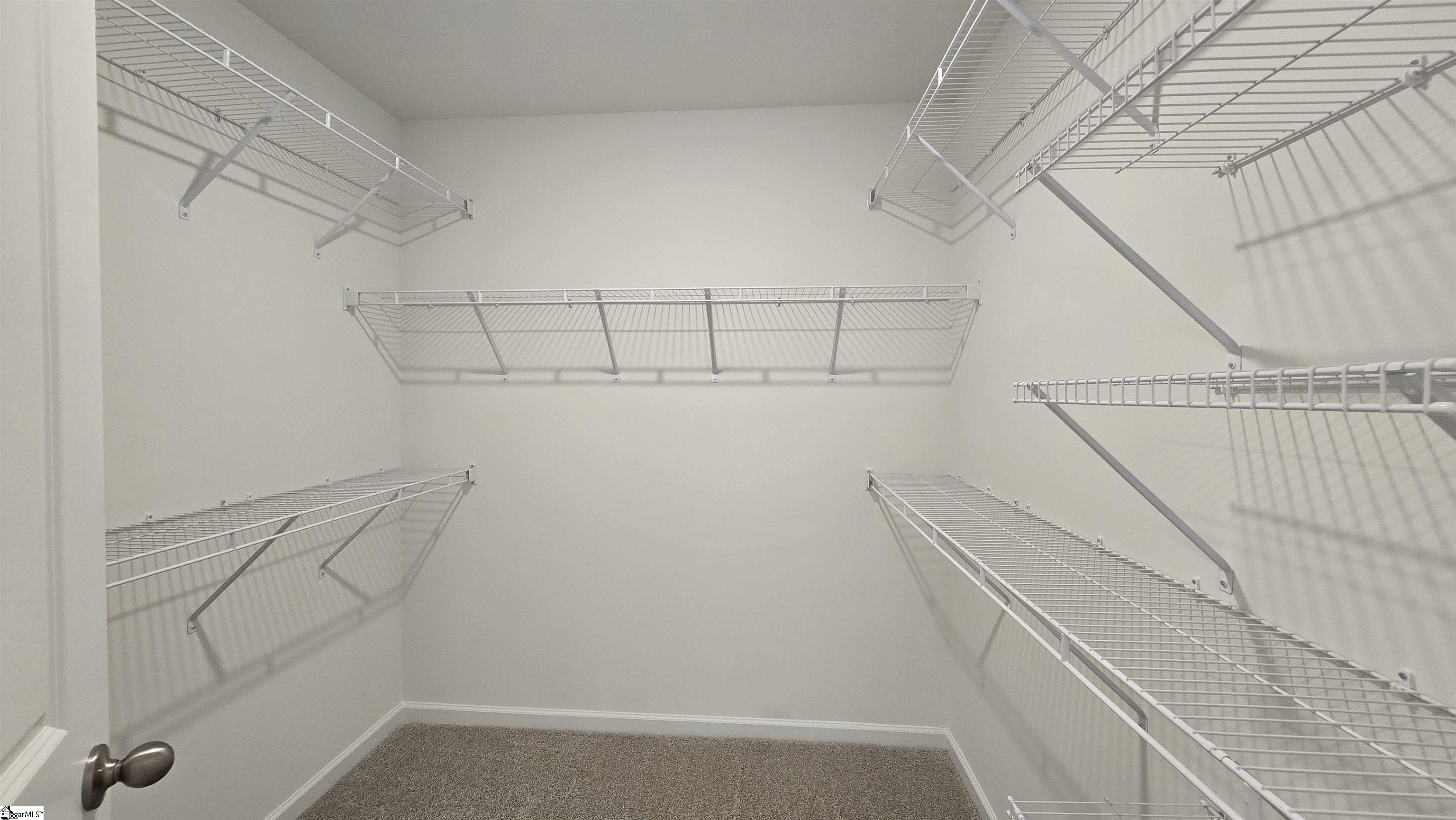 13 Halsey Street Property Photo 17