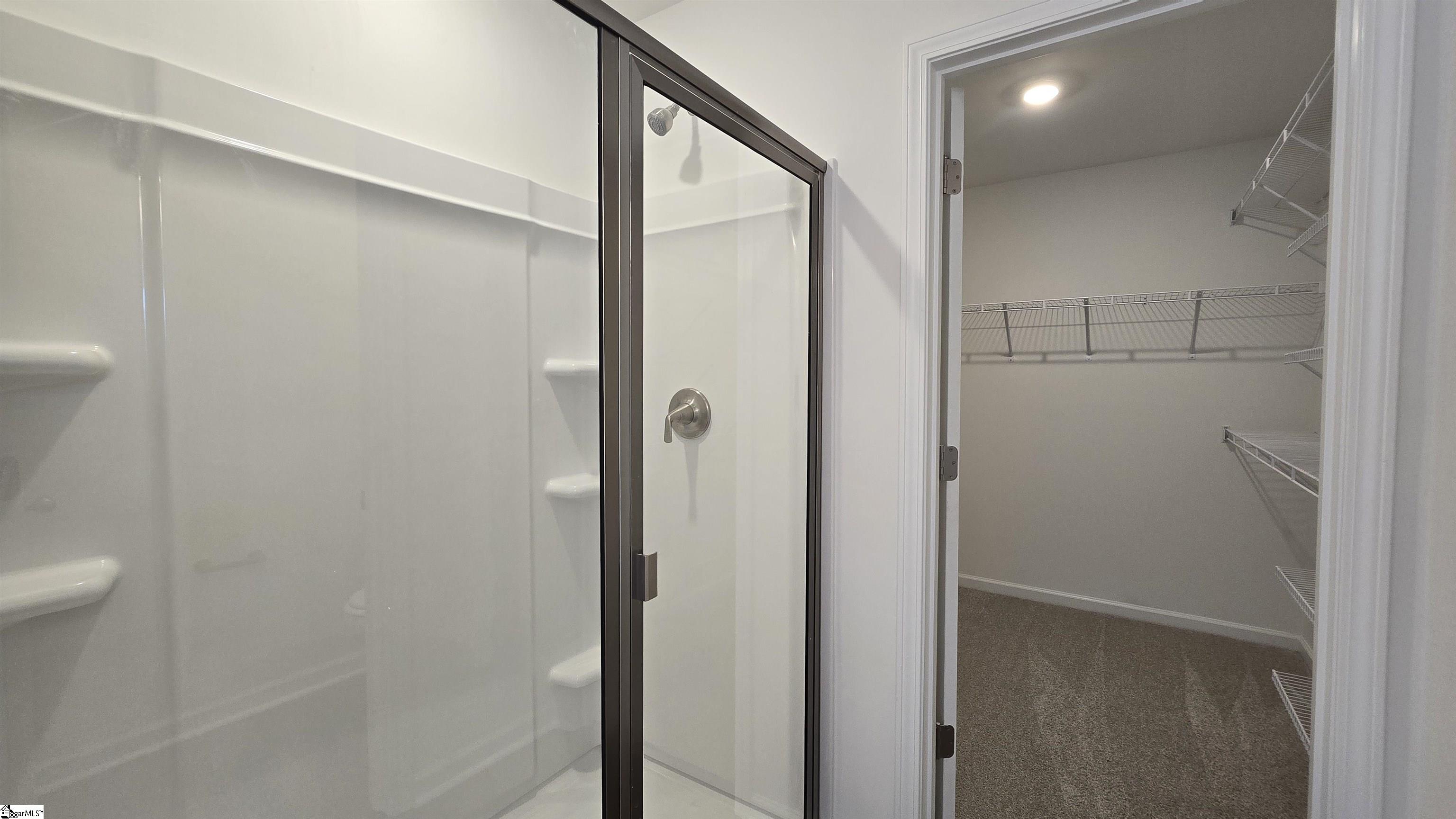 13 Halsey Street Property Photo 18