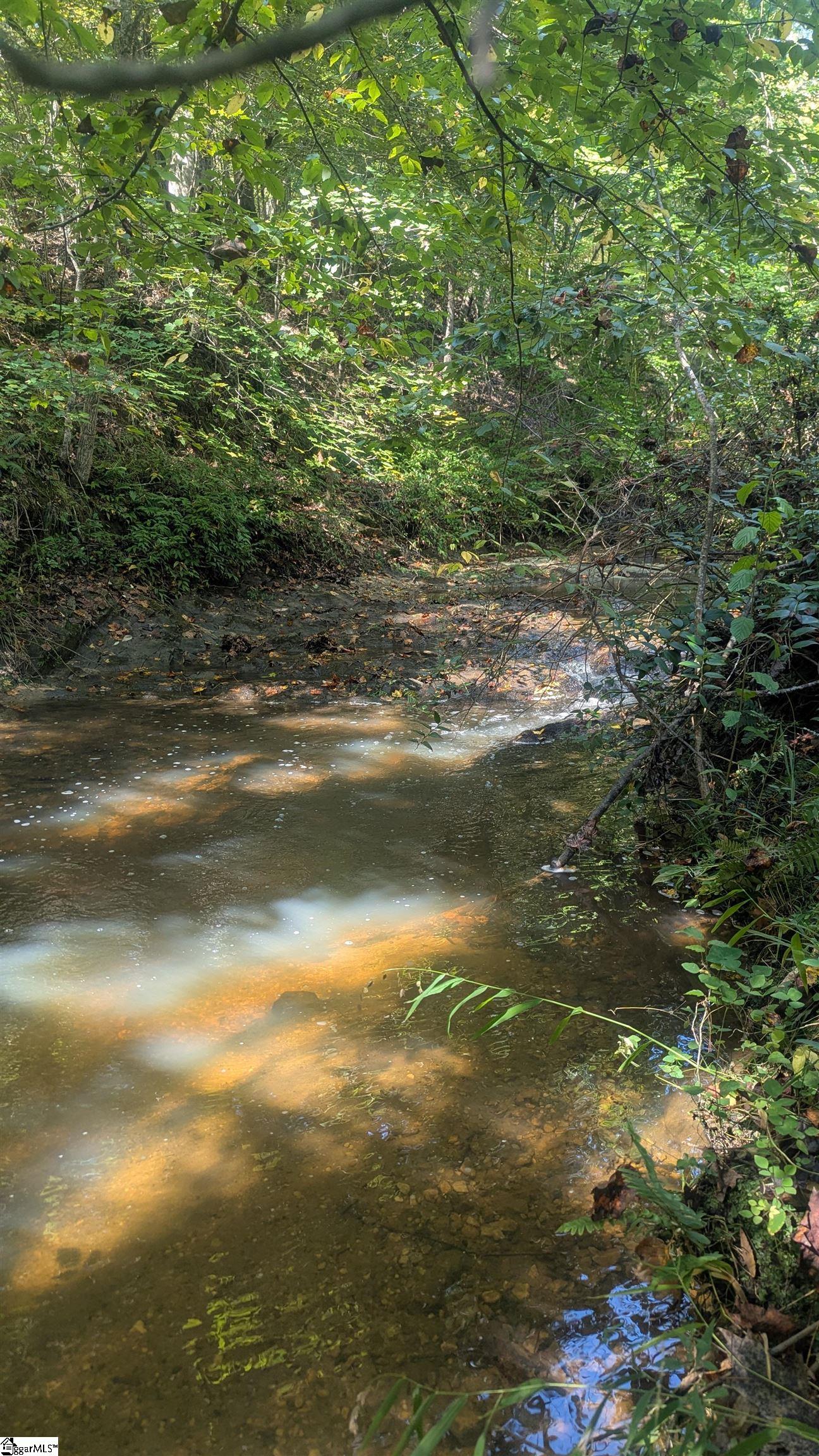 485 Round Tree Road Property Photo 39