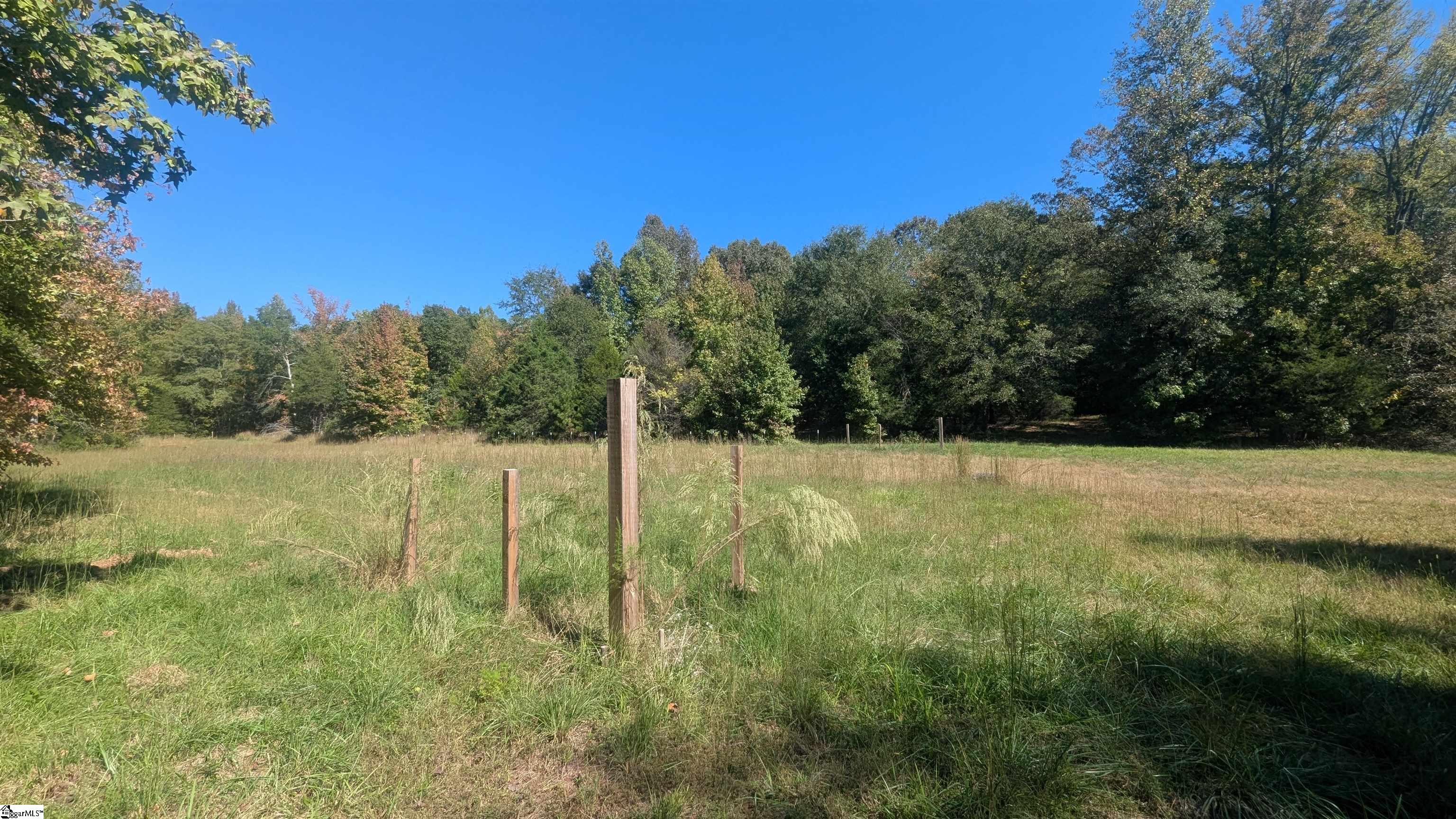 485 Round Tree Road Property Photo 40